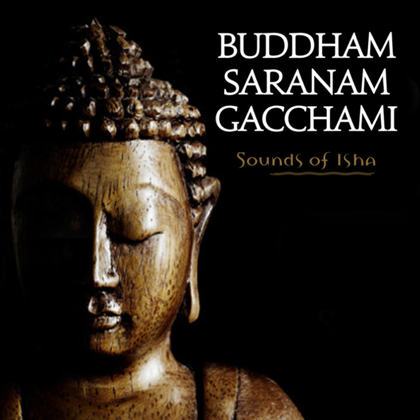 Релиз Buddham Saranam Gacchami