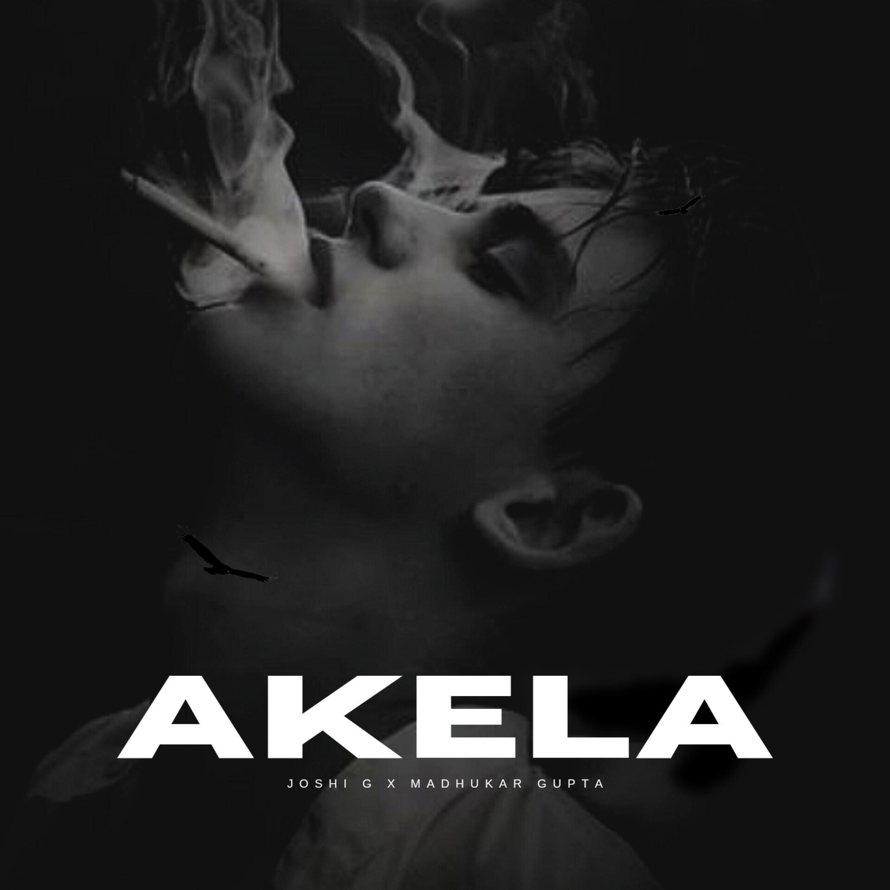 Релиз Akela