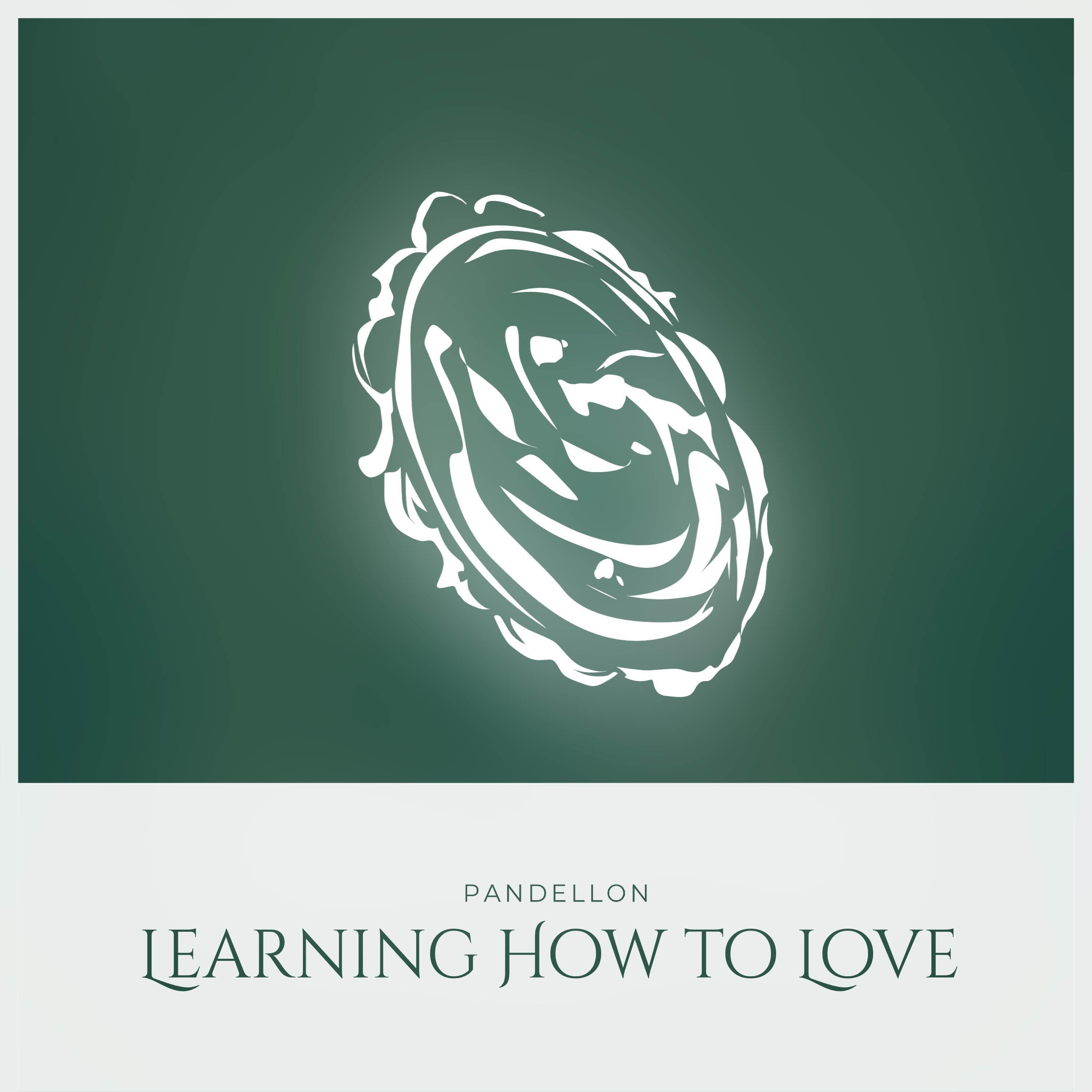 Релиз Learning How to Love