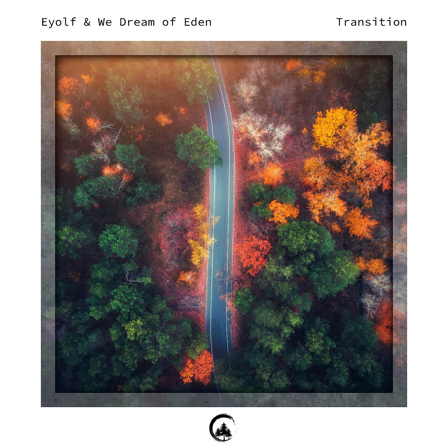 Релиз Transition