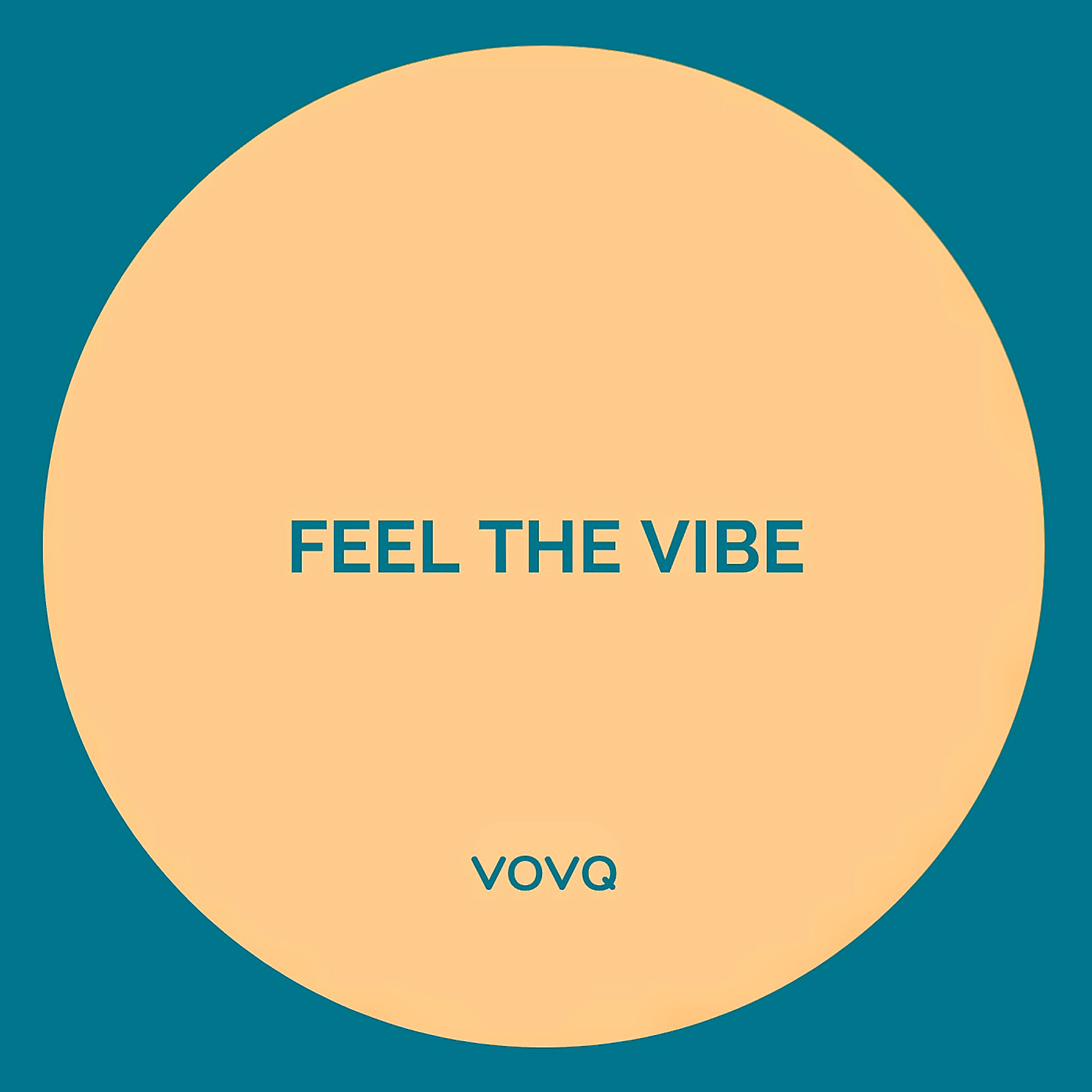 Релиз Feel the Vibe