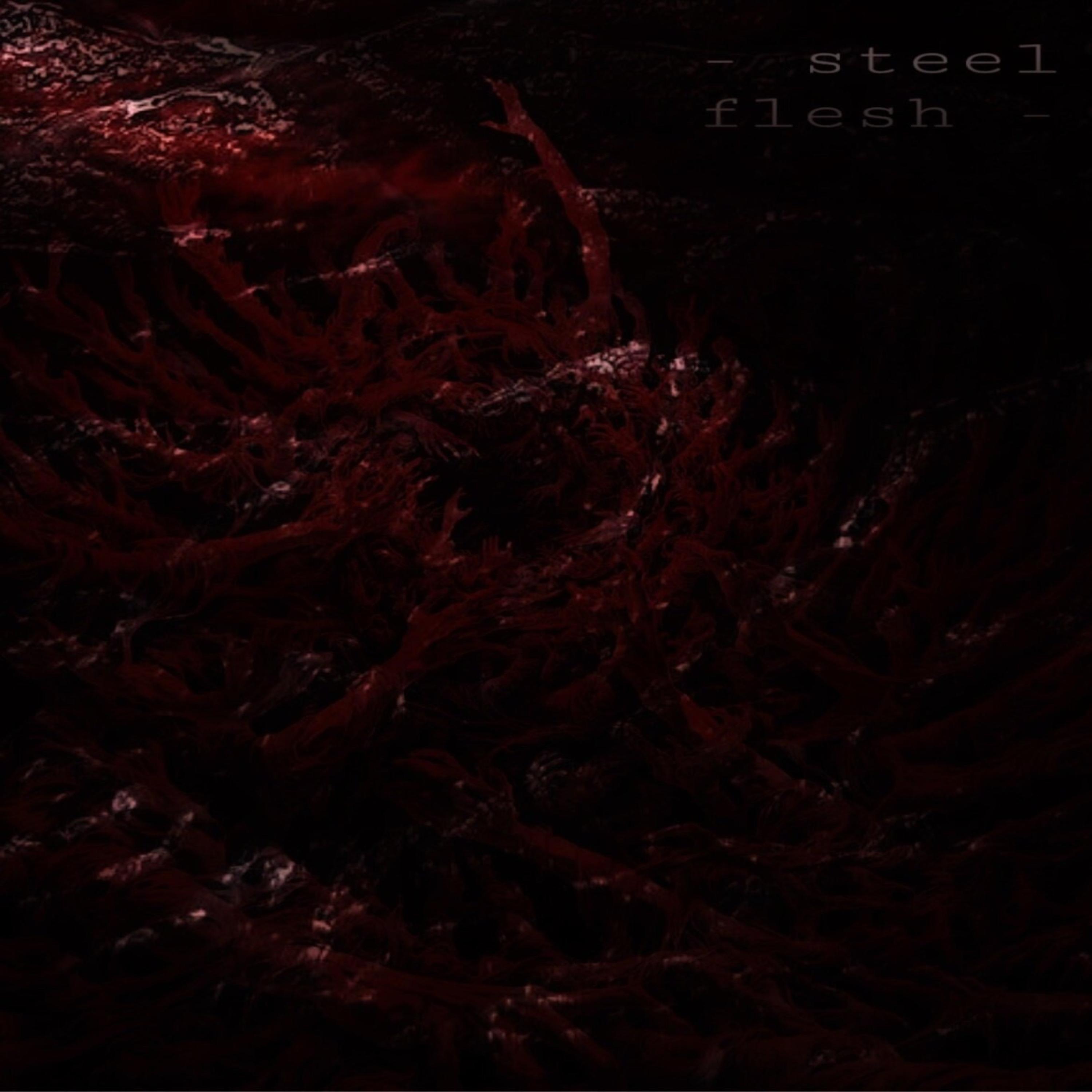 Релиз Steel Flesh