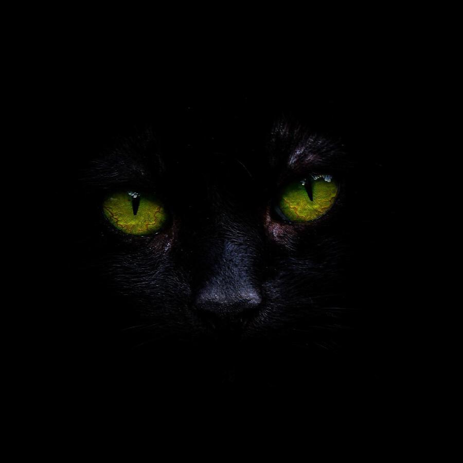 Волна по треку