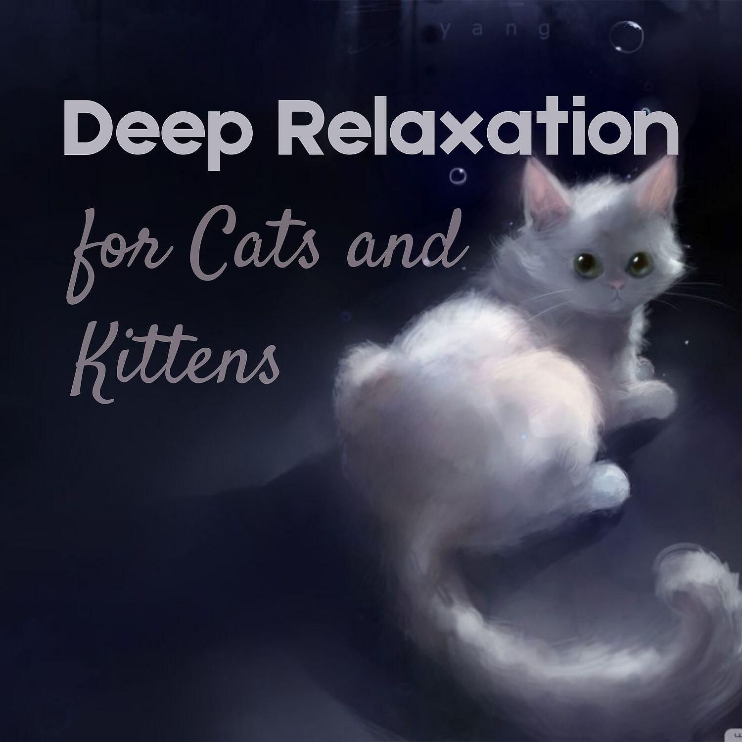 Релиз Deep Relaxation Jazz for Cats and Kittens