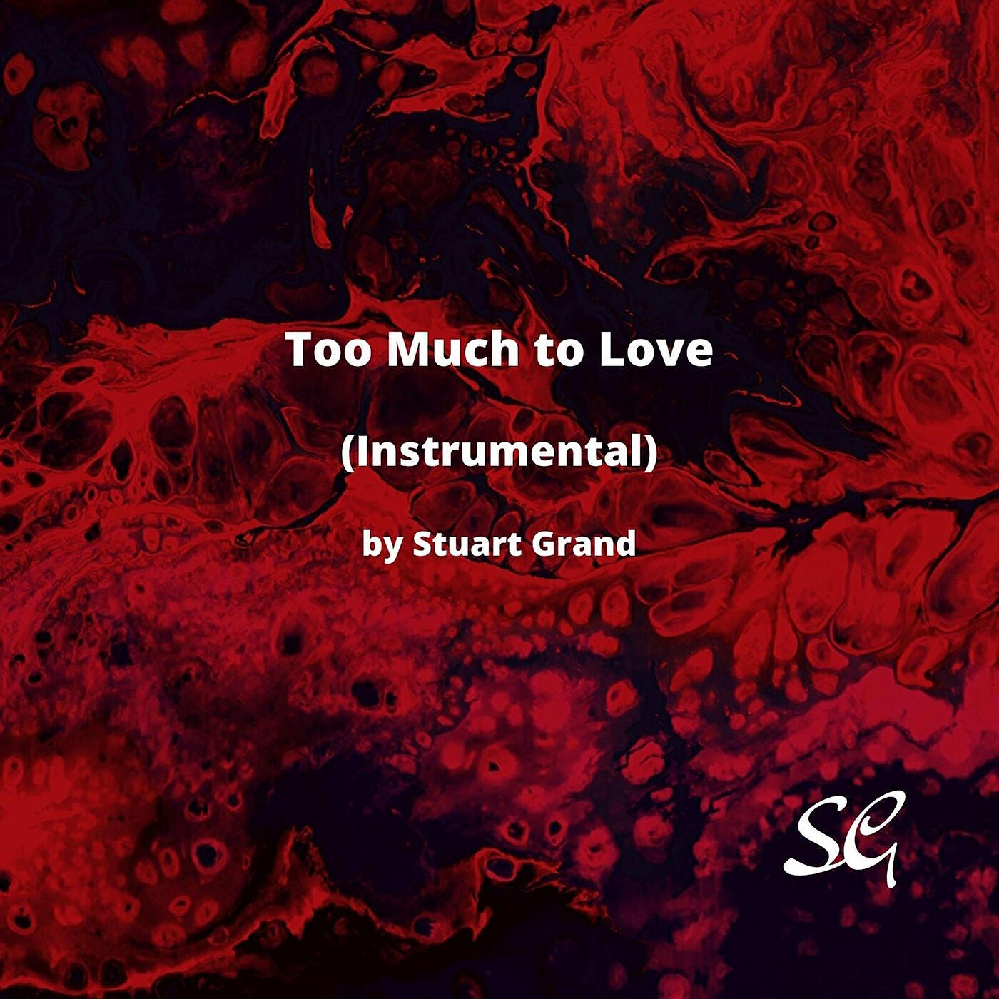 Релиз Too Much to Love (Instrumental)