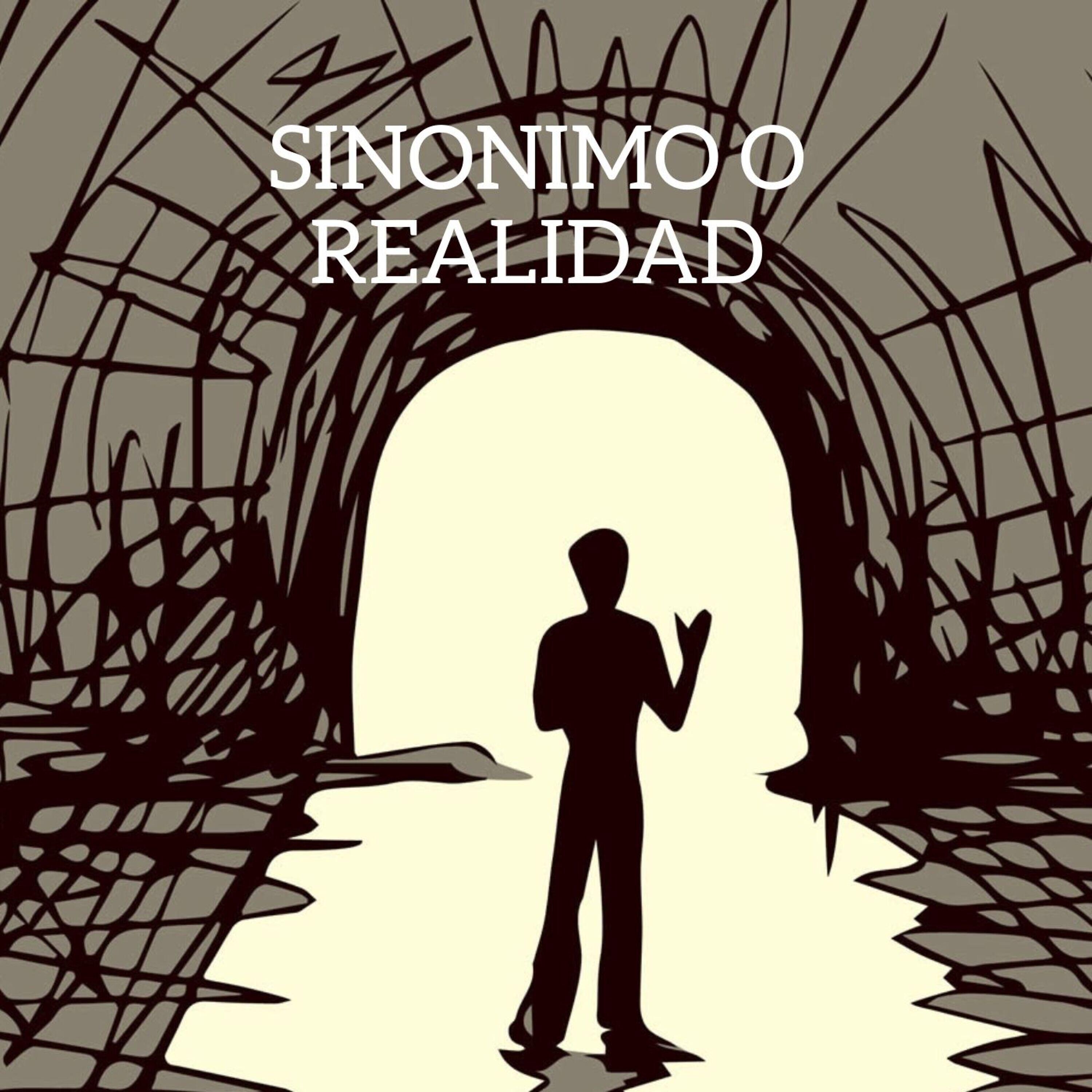 Релиз Sinonimo o Realidad