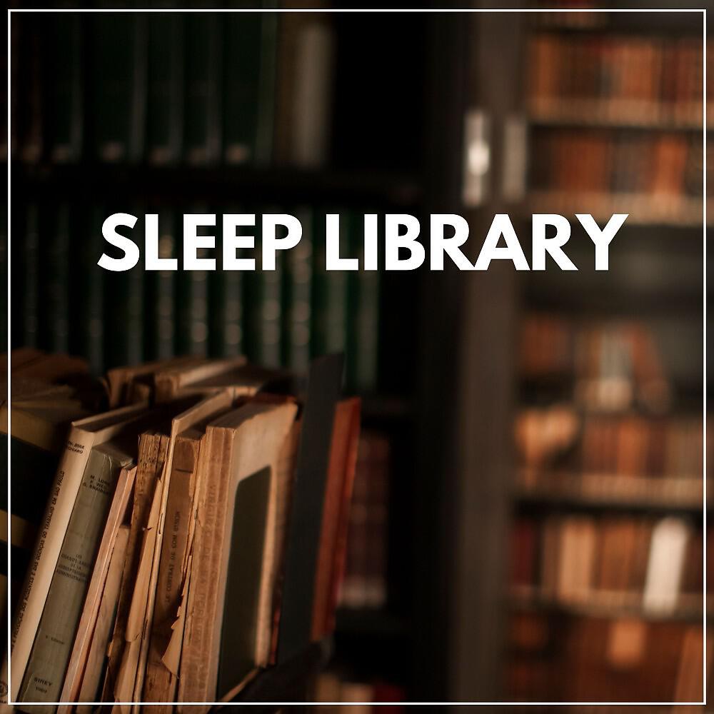 Релиз Sleep Library