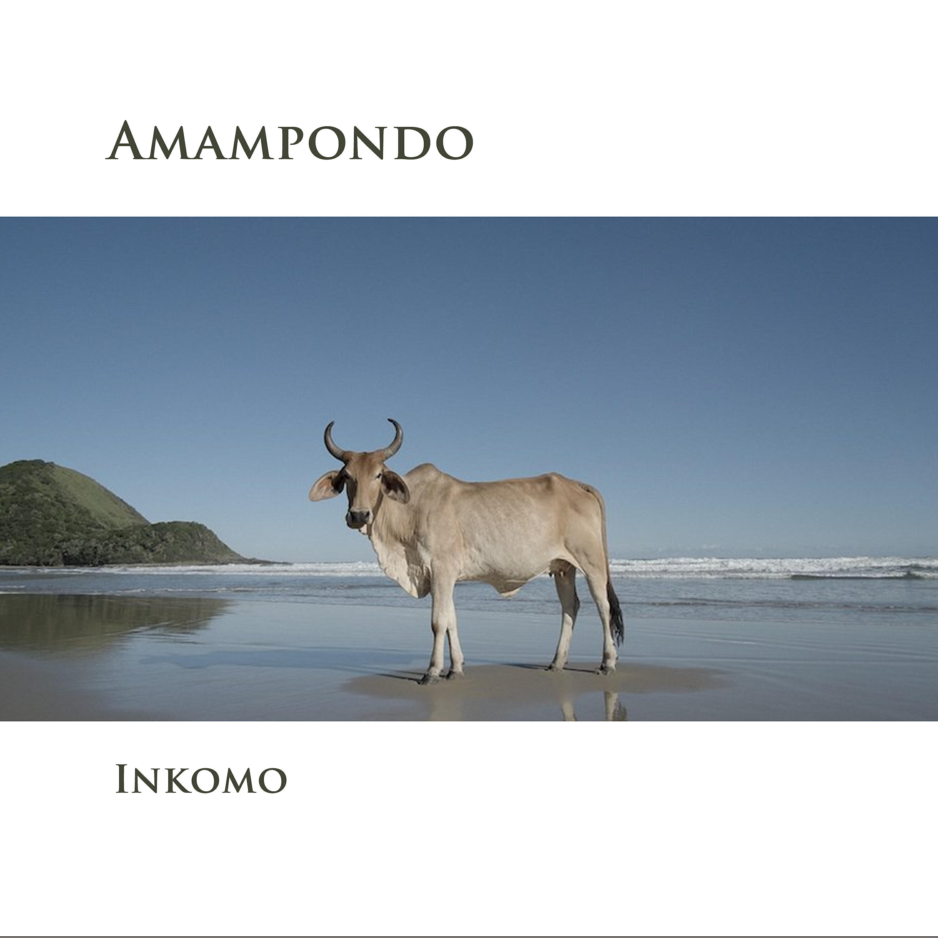 Релиз Inkomo