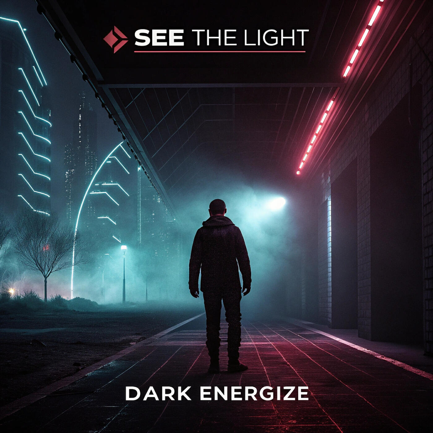 Релиз See the Light