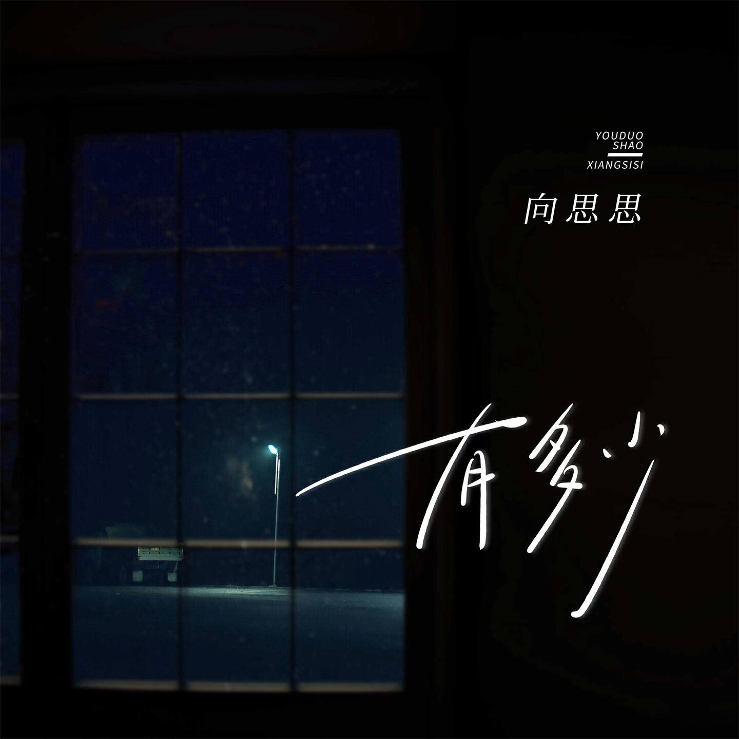 向思思