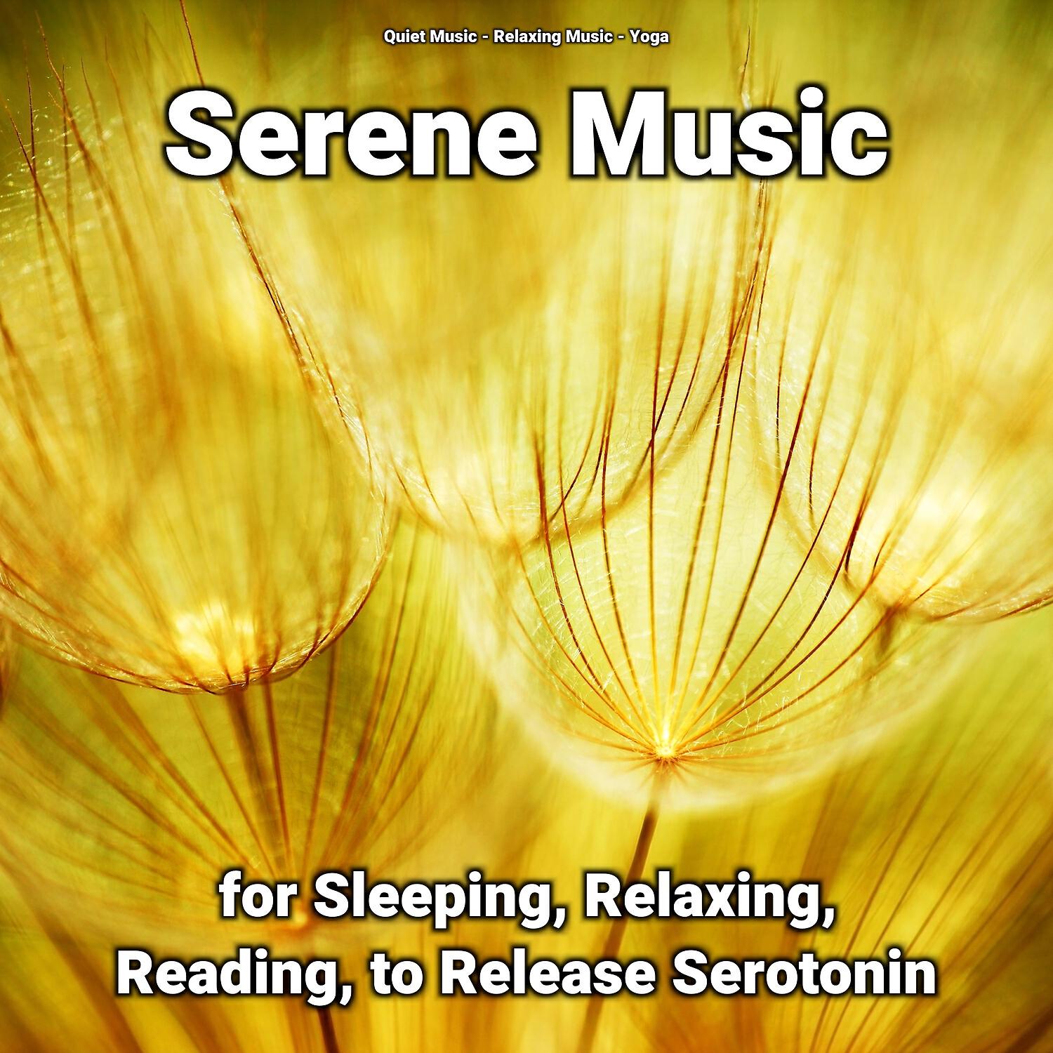 Релиз Serene Music for Sleeping, Relaxing, Reading, to Release Serotonin