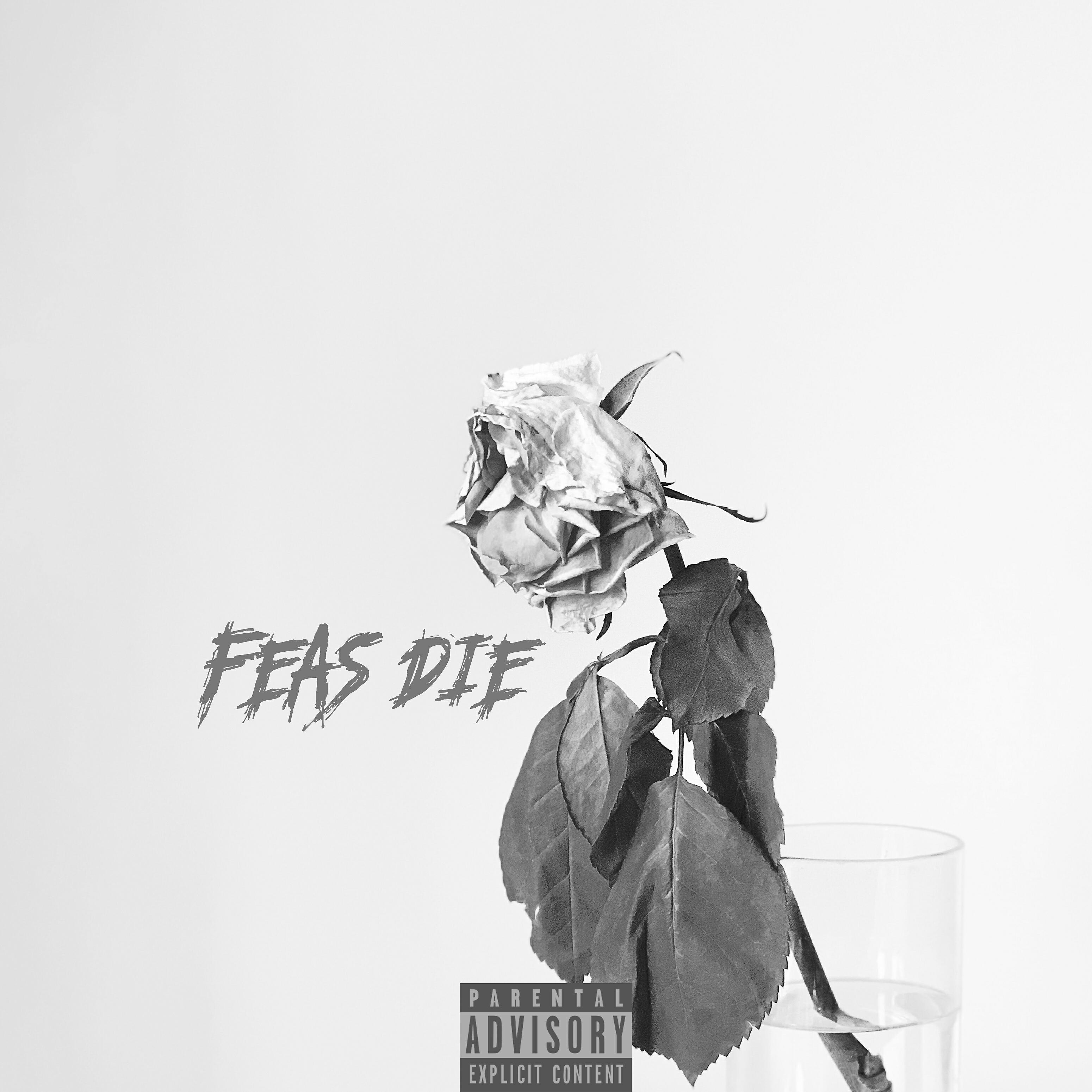 Релиз Feas Die