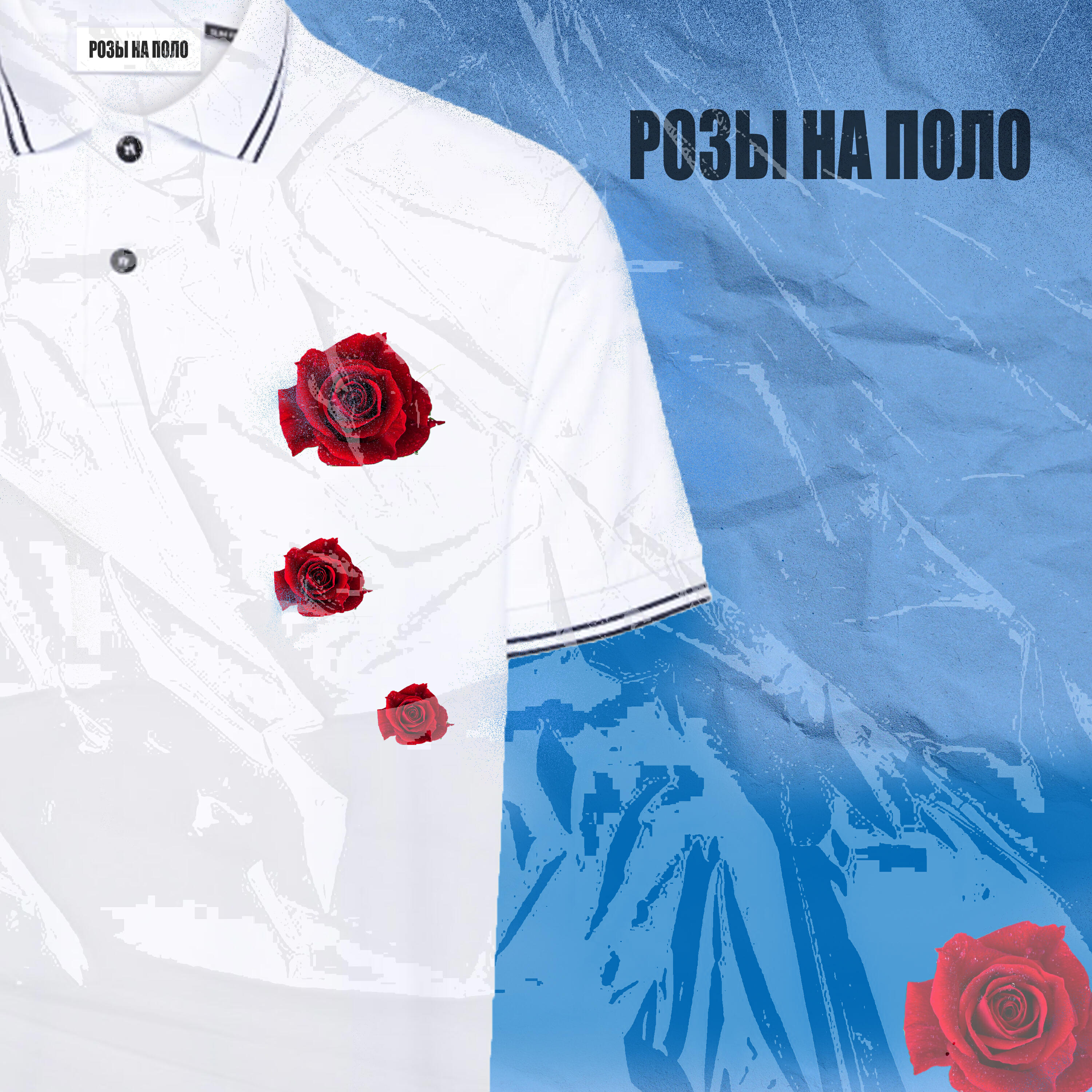 Релиз Розы на поло