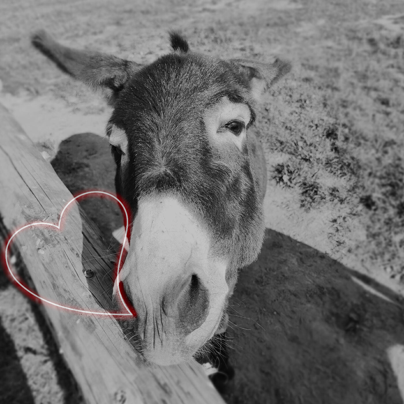 forsexylove