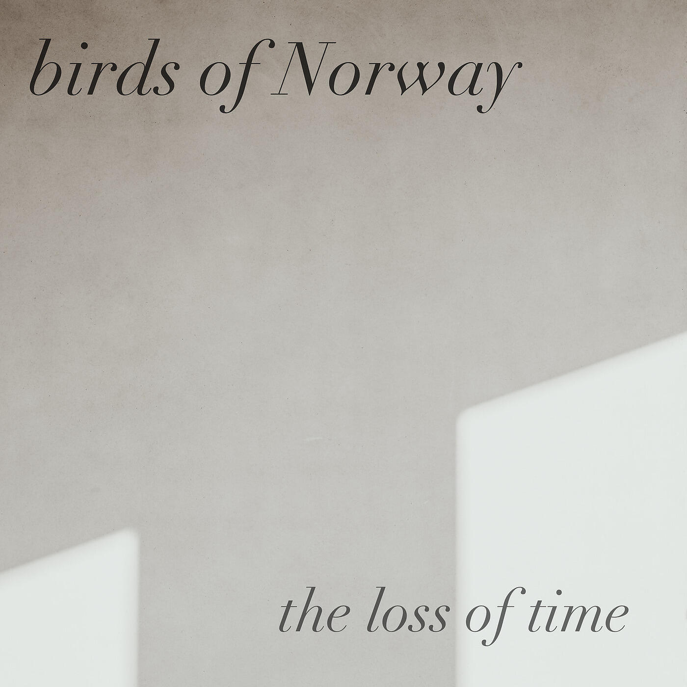 Релиз The Loss of Time