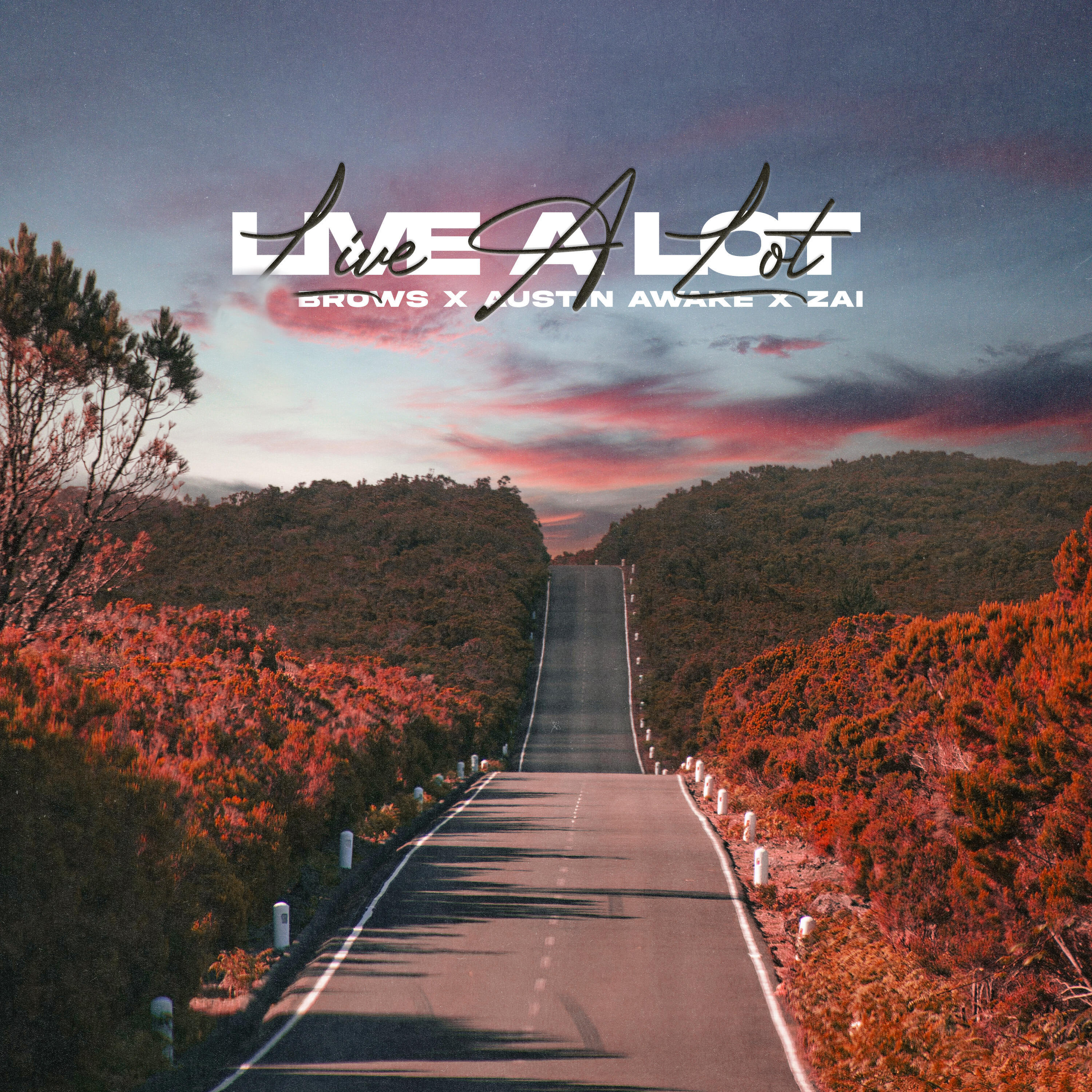 Релиз Live a Lot