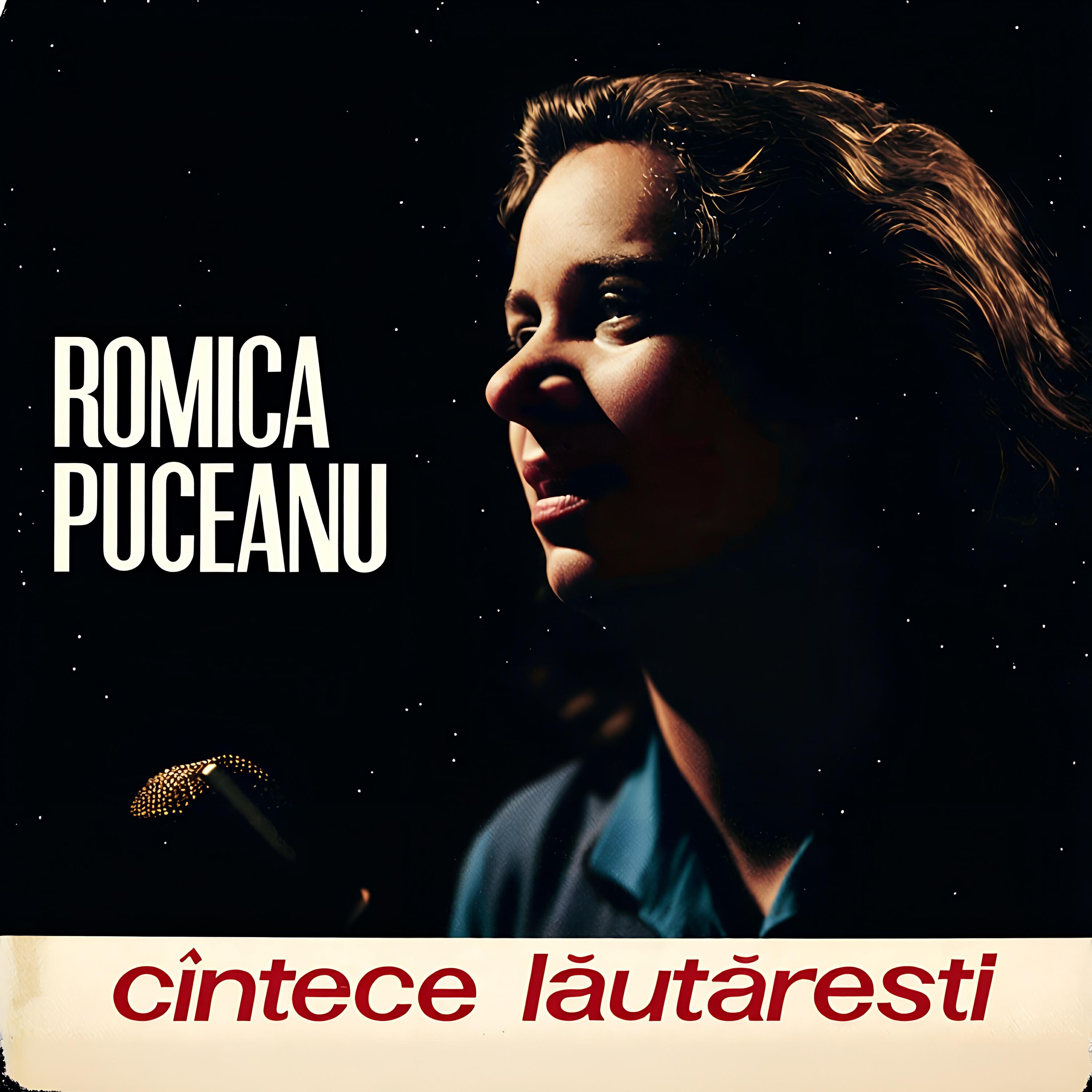 Релиз Cântece Lăutărești