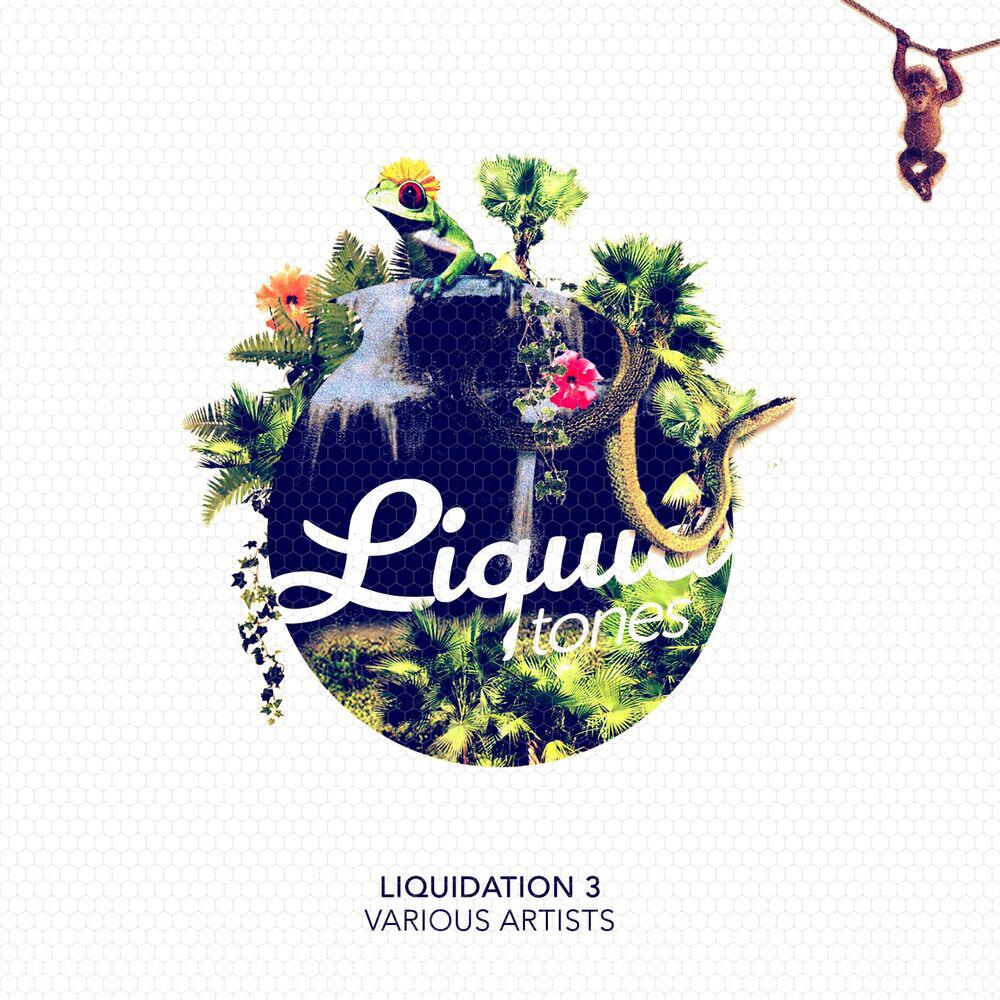 Релиз Liquidation, Vol. 3