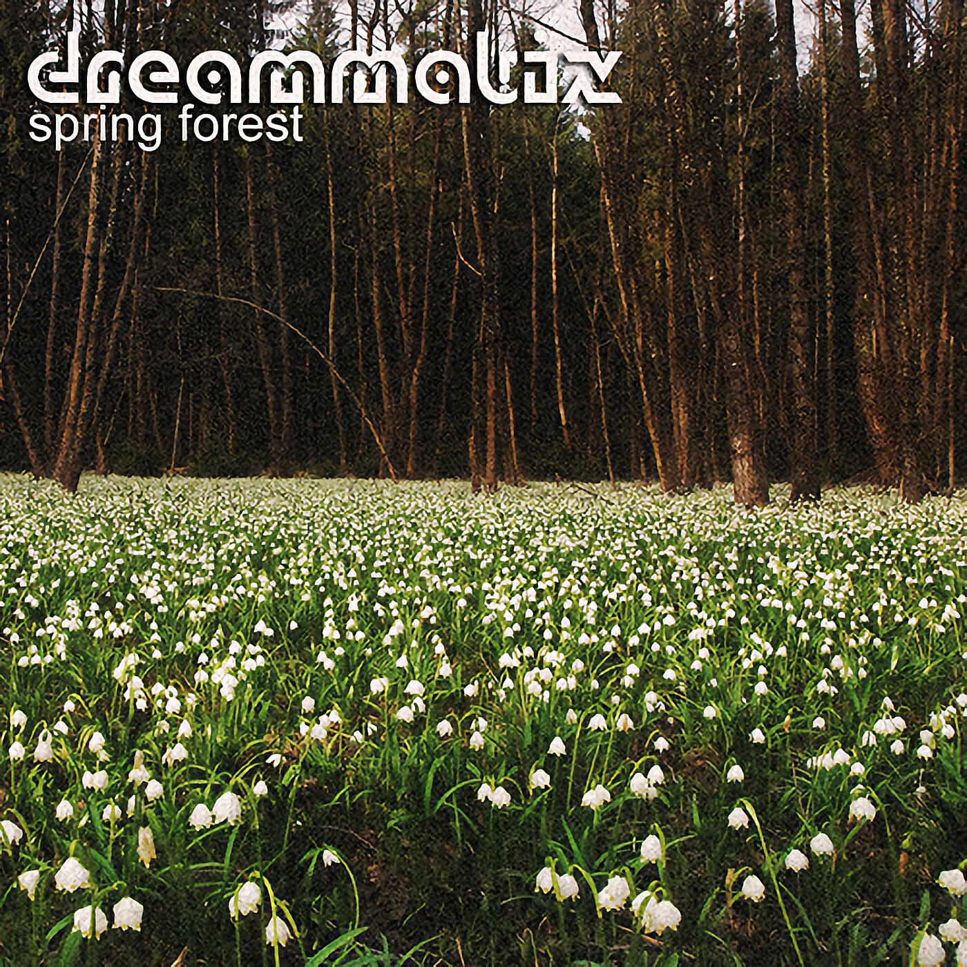 Dreammatix