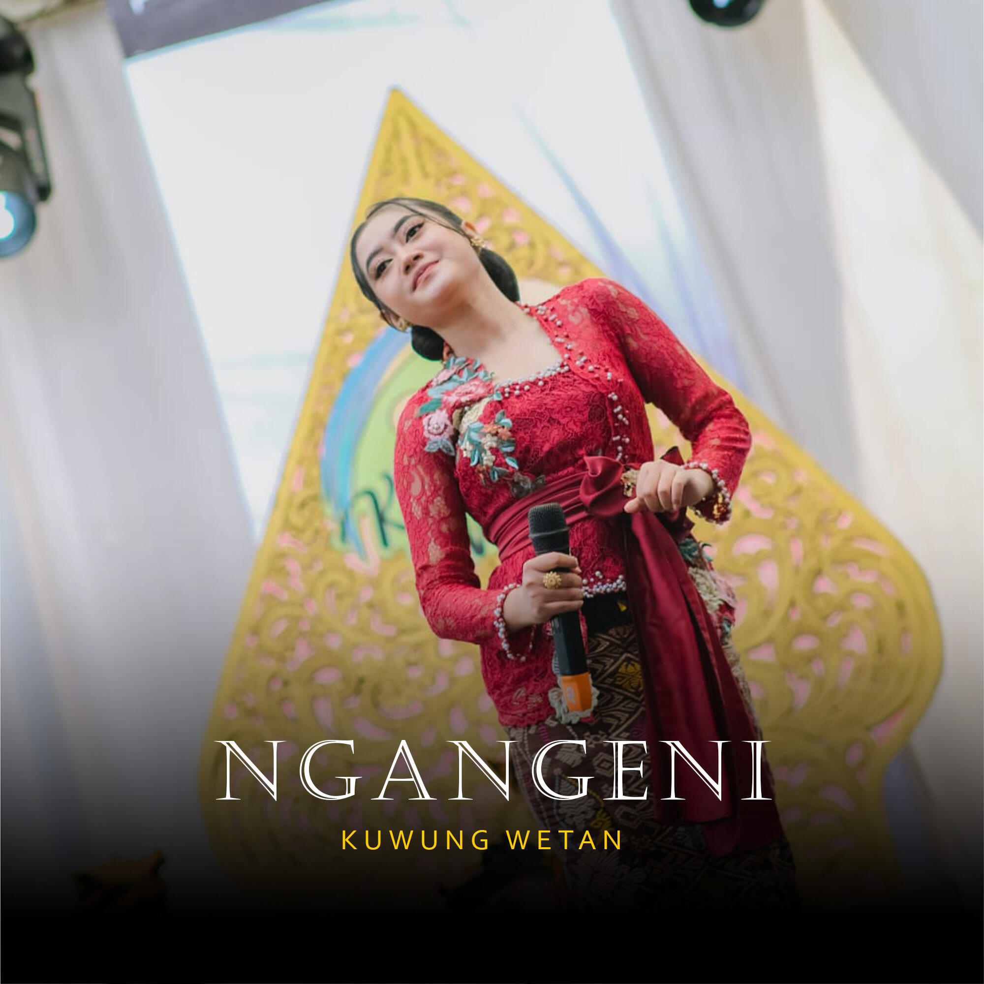Релиз Ngangeni