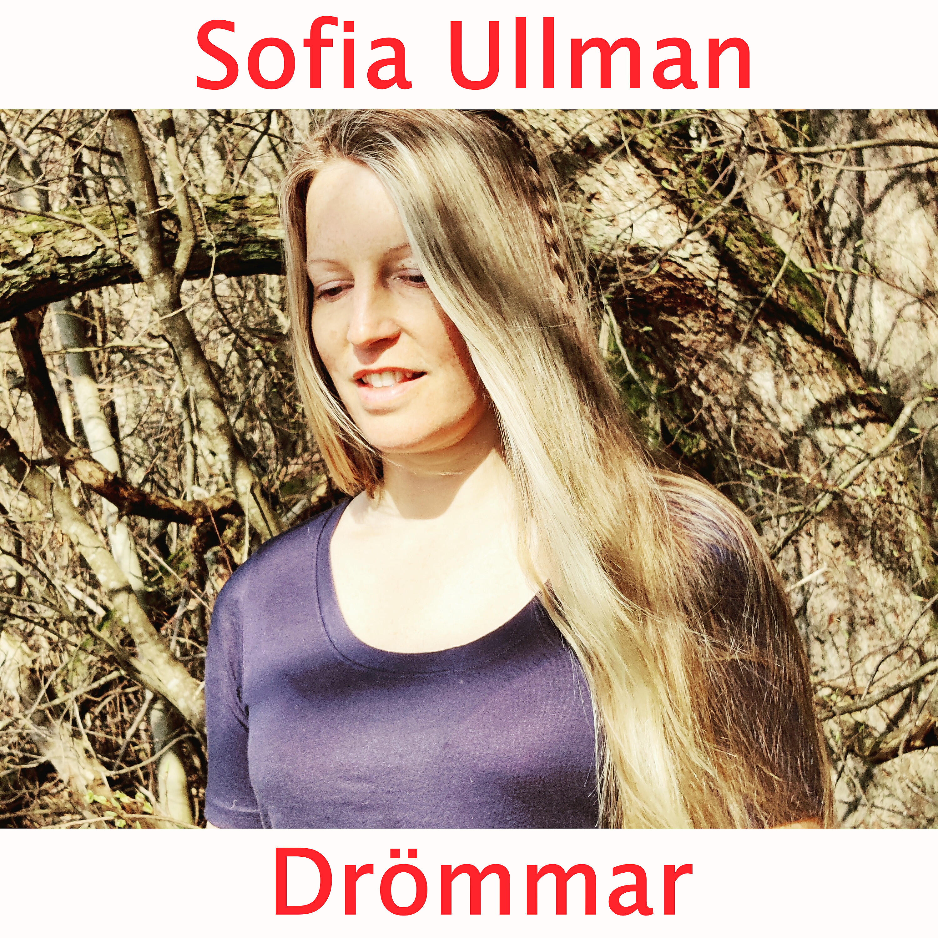 Постер альбома Drömmar