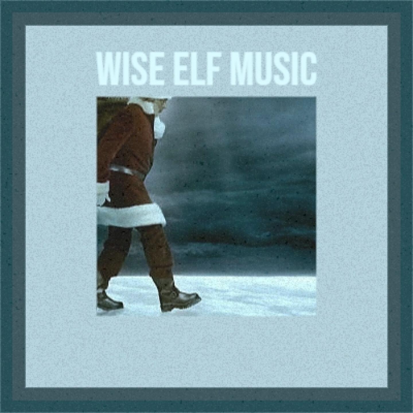 Релиз Wise Elf Music