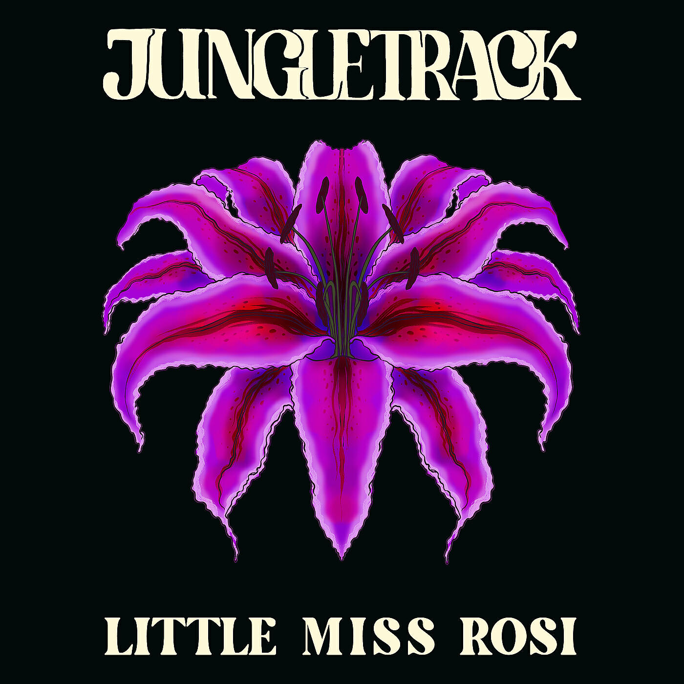 Релиз Little Miss Rosi