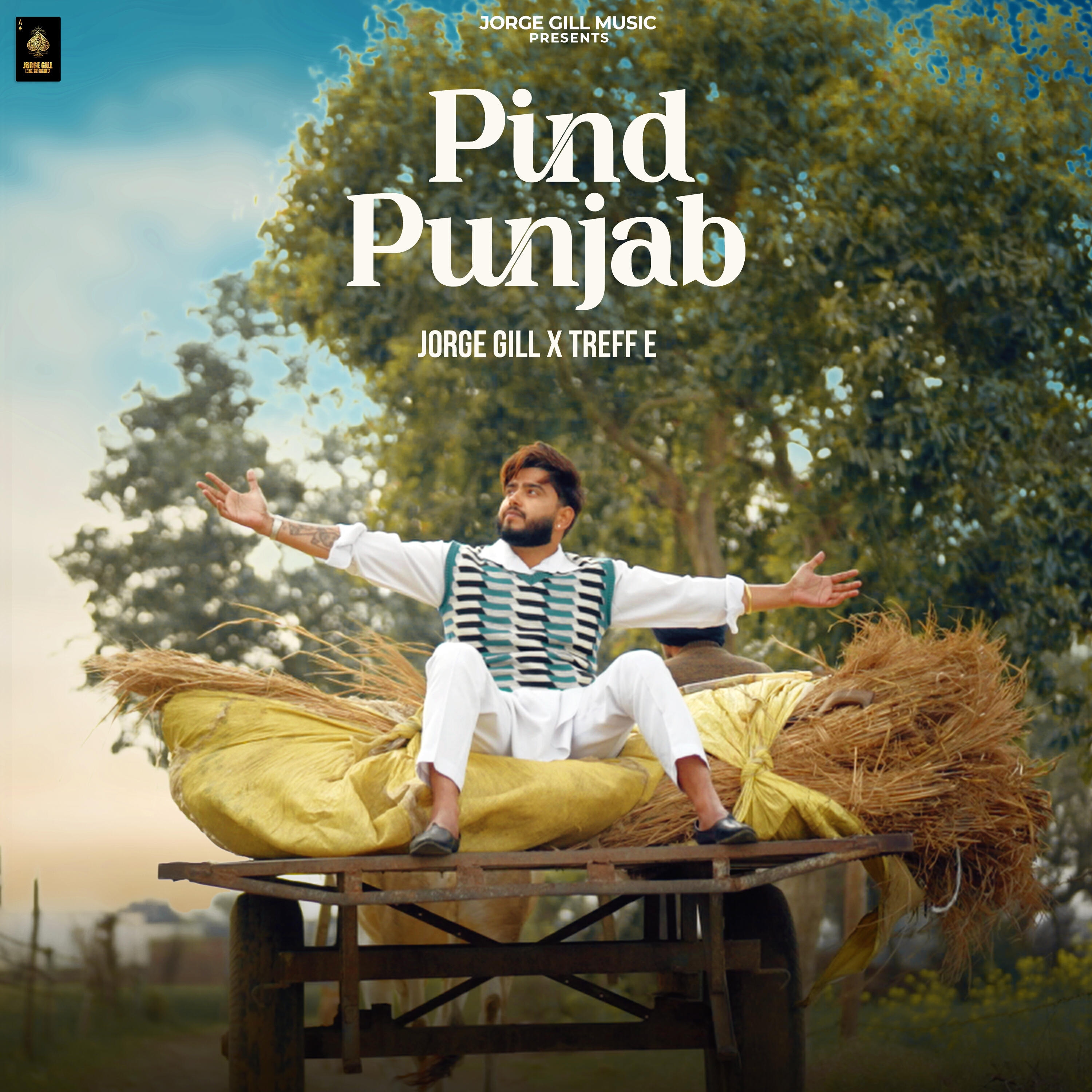 Релиз Pind Punjab