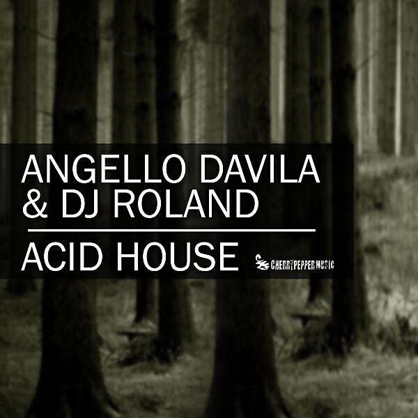 Постер альбома Acid House