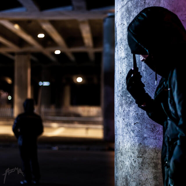 Релиз Sarivägistaja