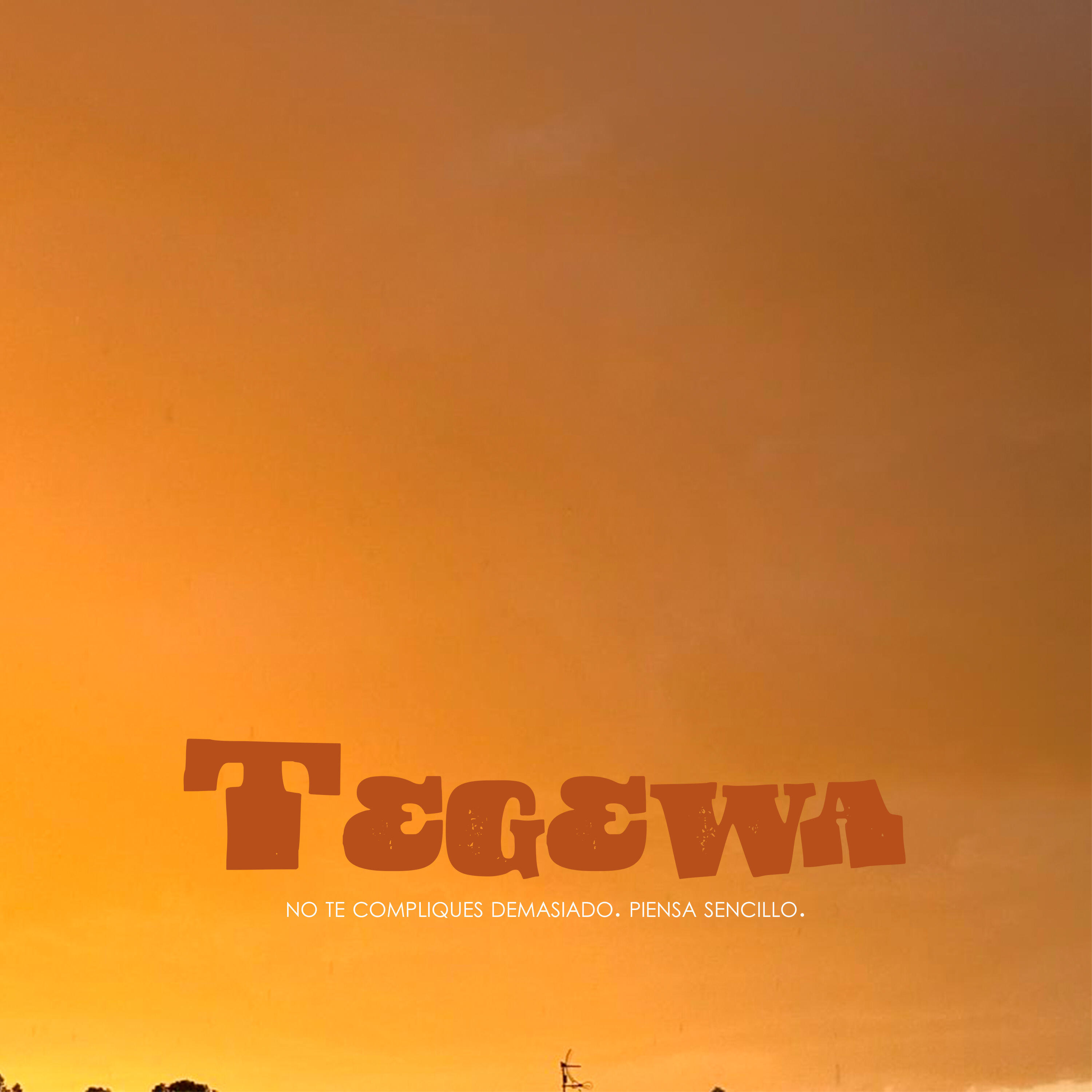 Релиз Tegewa