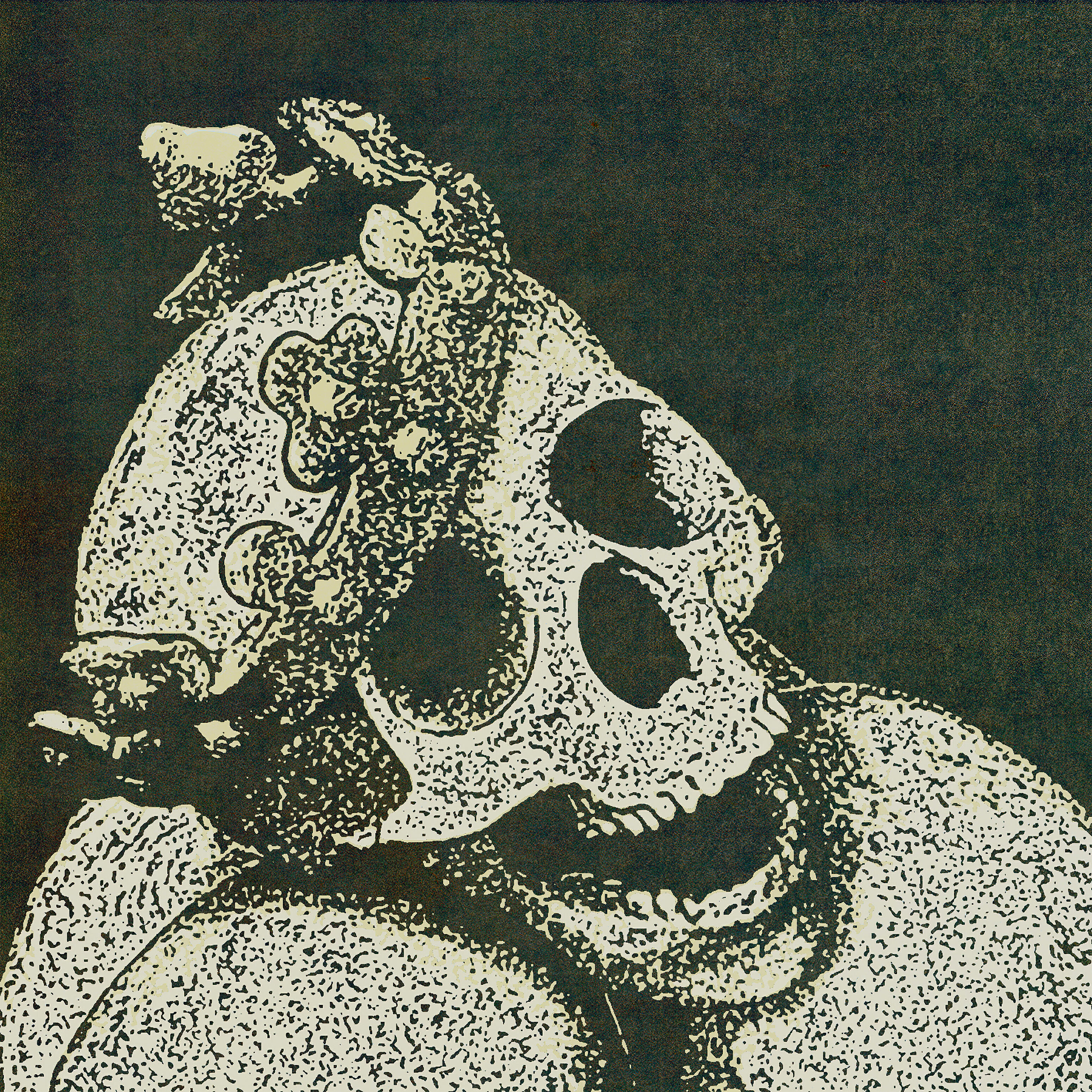 Релиз The Remains