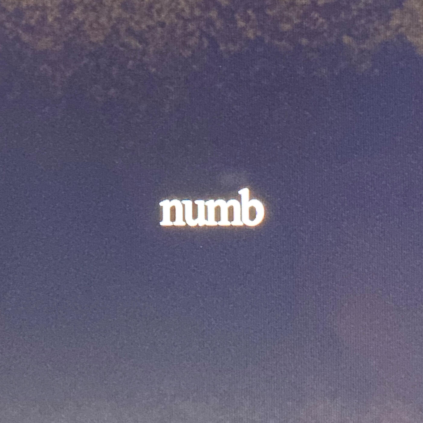 Релиз numb