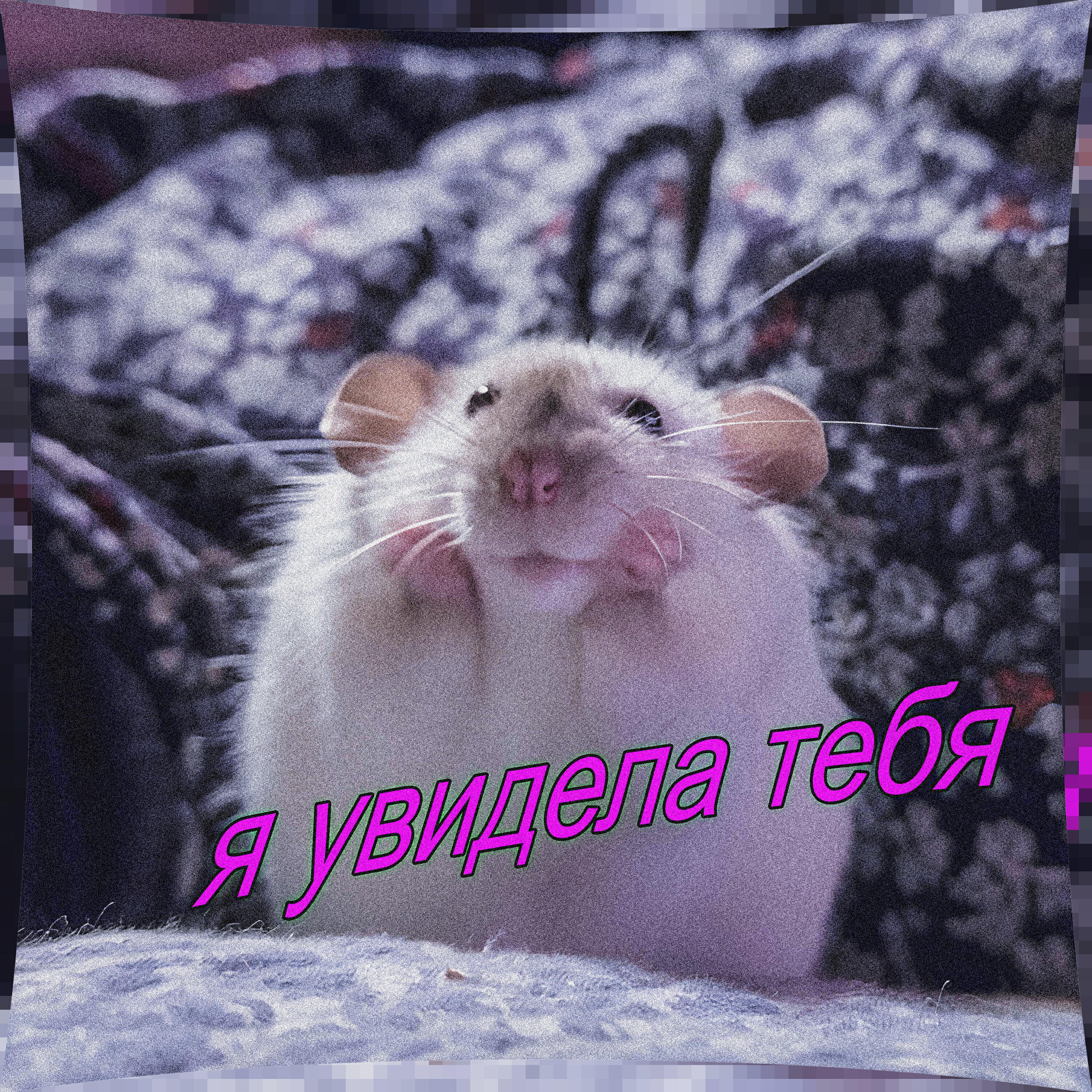 Релиз Я увидела тебя