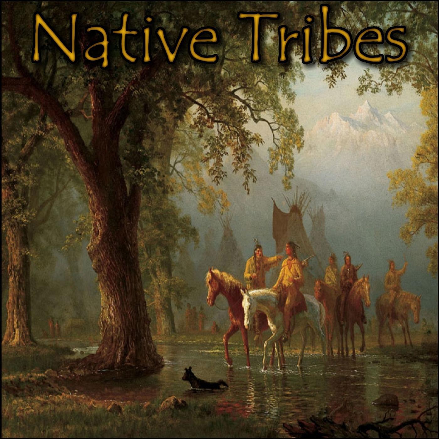 Релиз Native Tribes