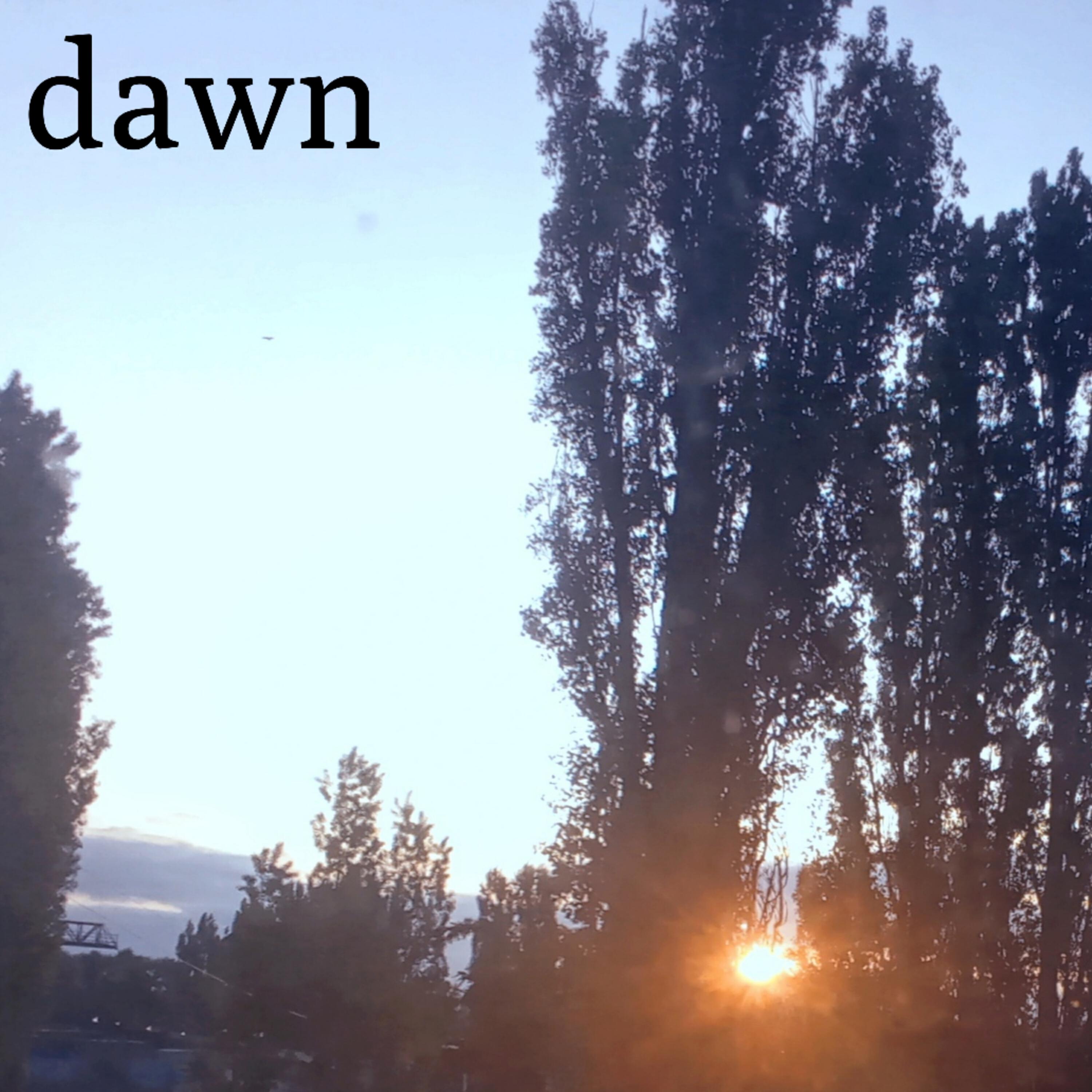 Релиз dawn