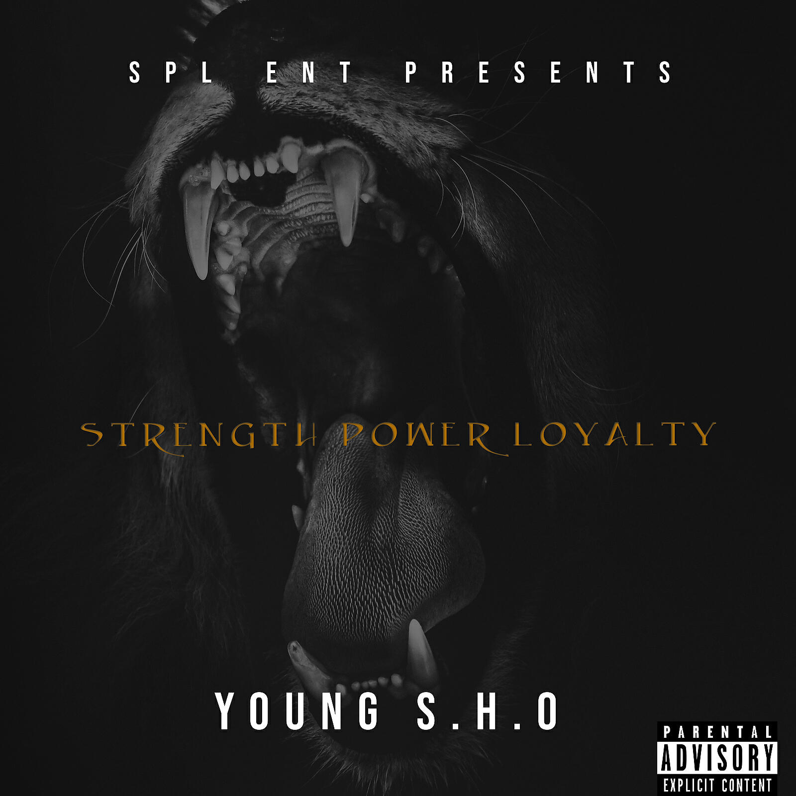 Релиз Strength Power Loyalty