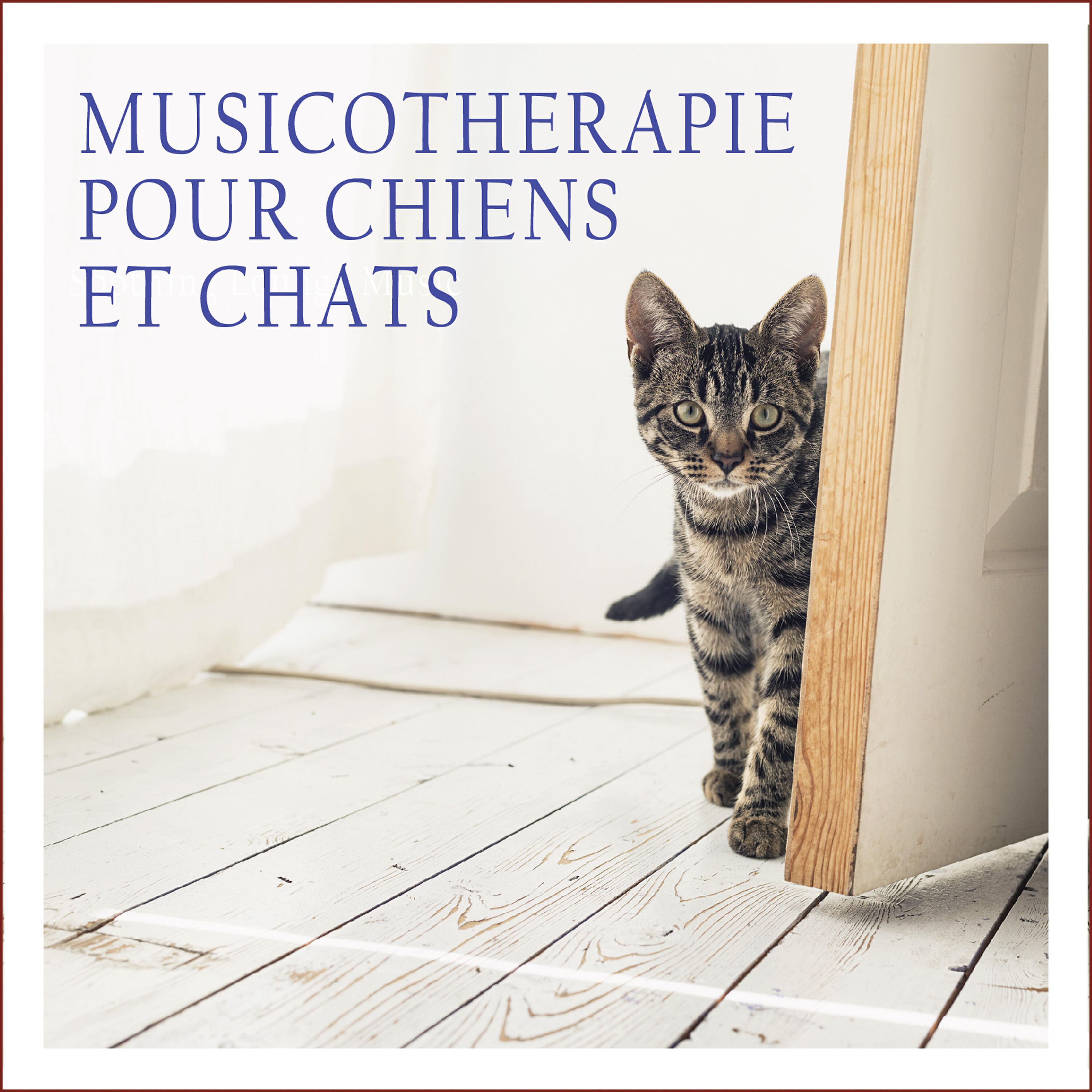 Релиз Musicothérapie pour chiens et chats