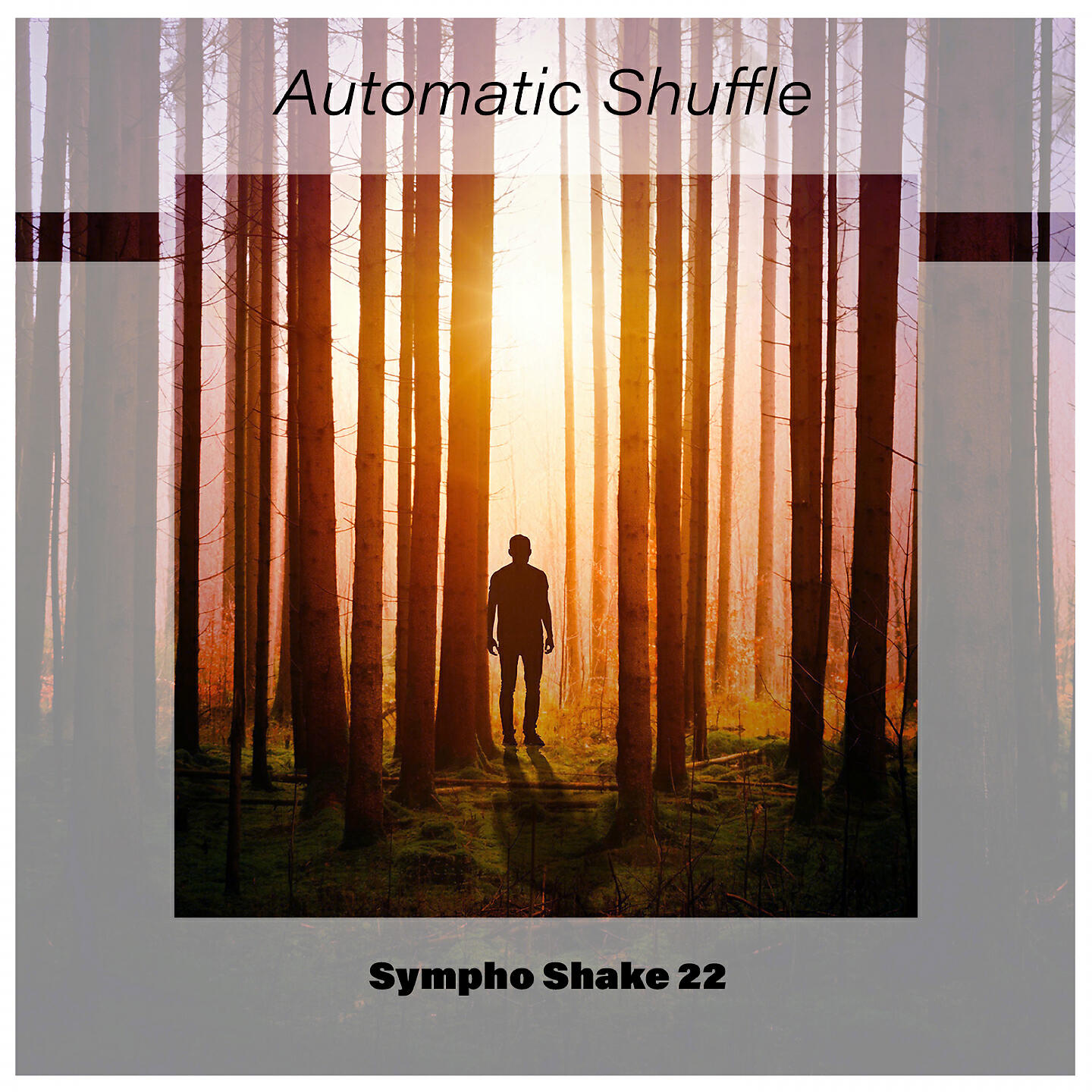 Релиз Automatic Shuffle Sympho Shake 22