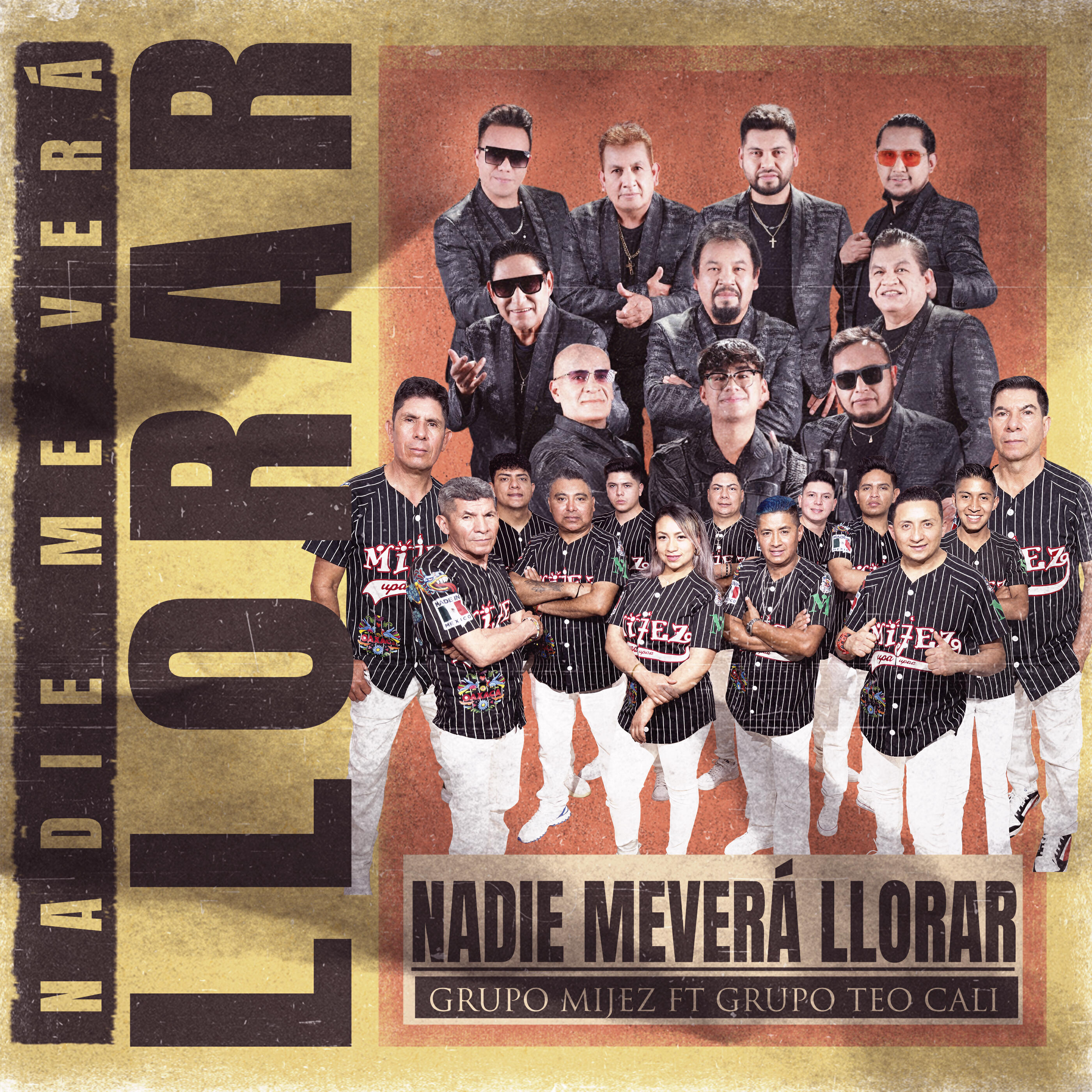 Релиз Nadie me Verá llorar