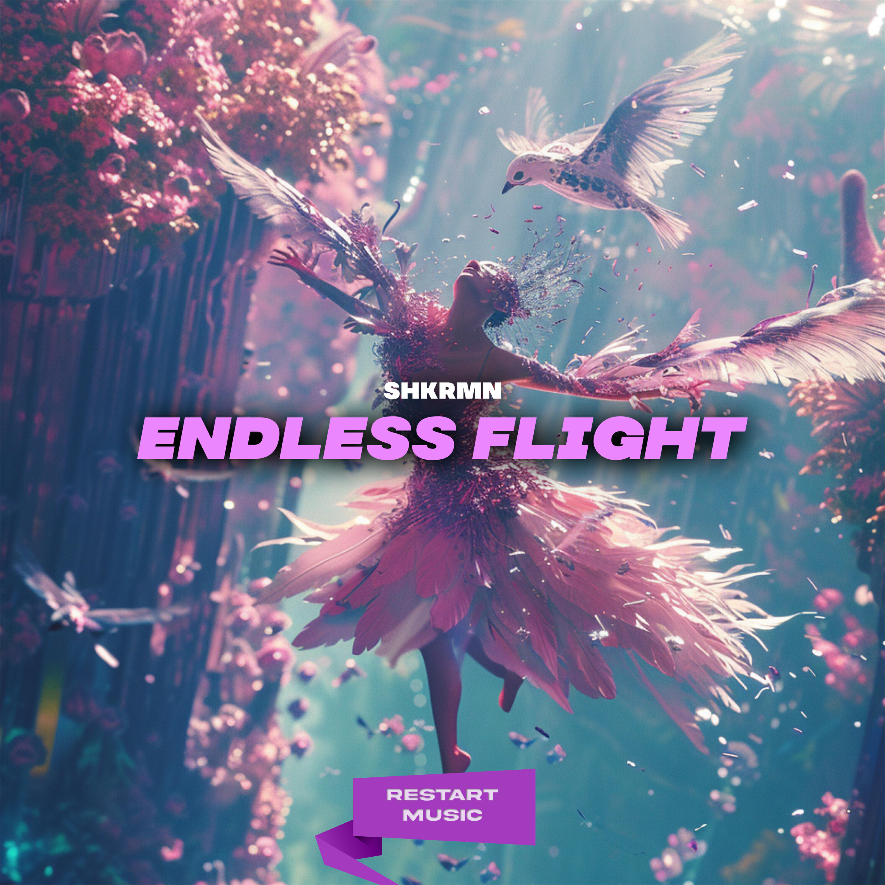 Релиз Endless Flight