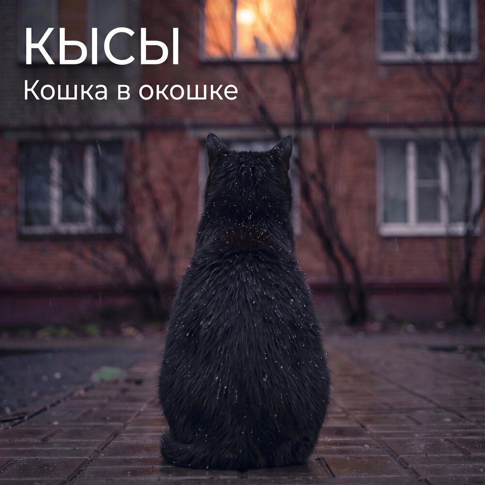 Релиз Кошка в окошке
