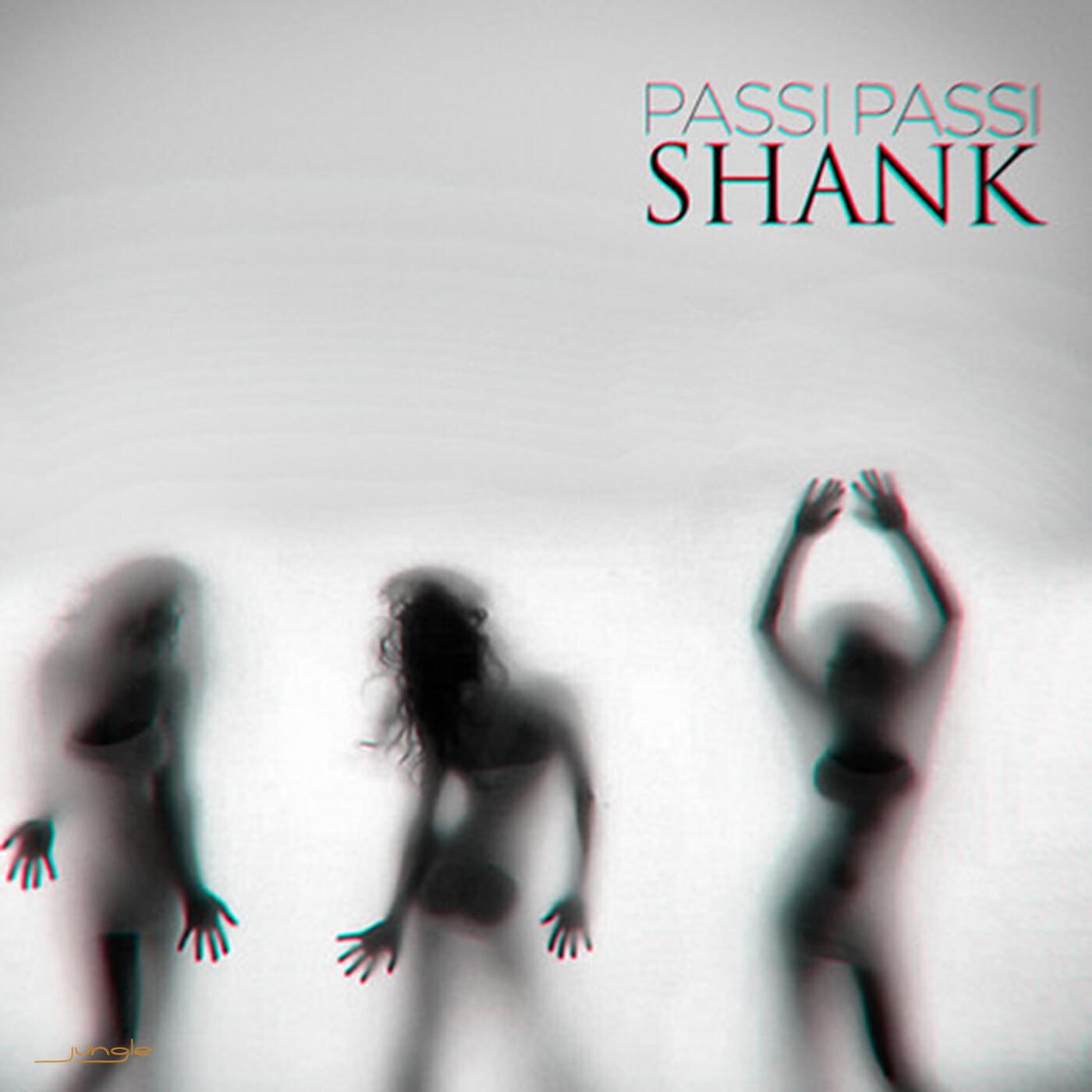 Релиз Passi Passi