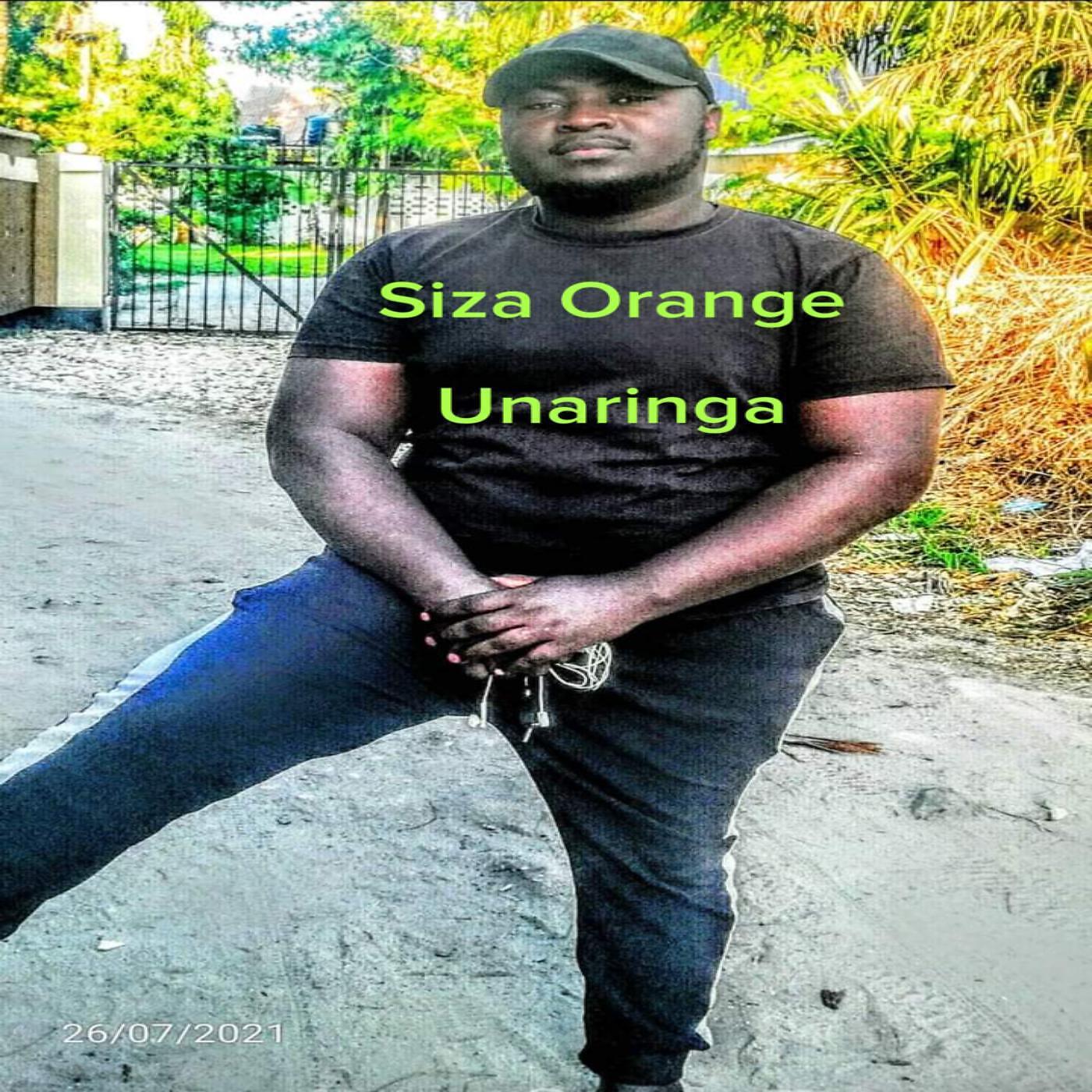Релиз Unaringa