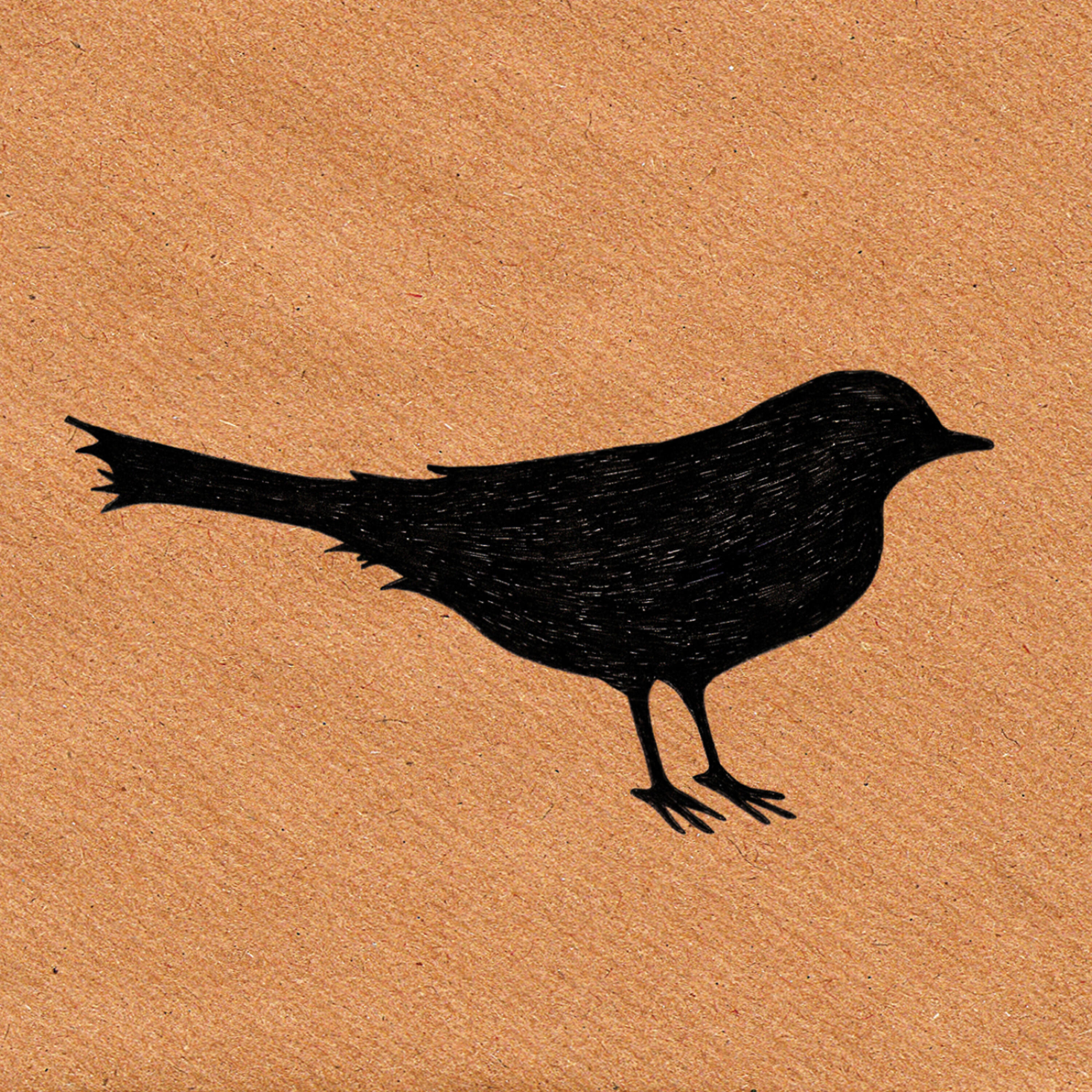 Трек Paper Birds