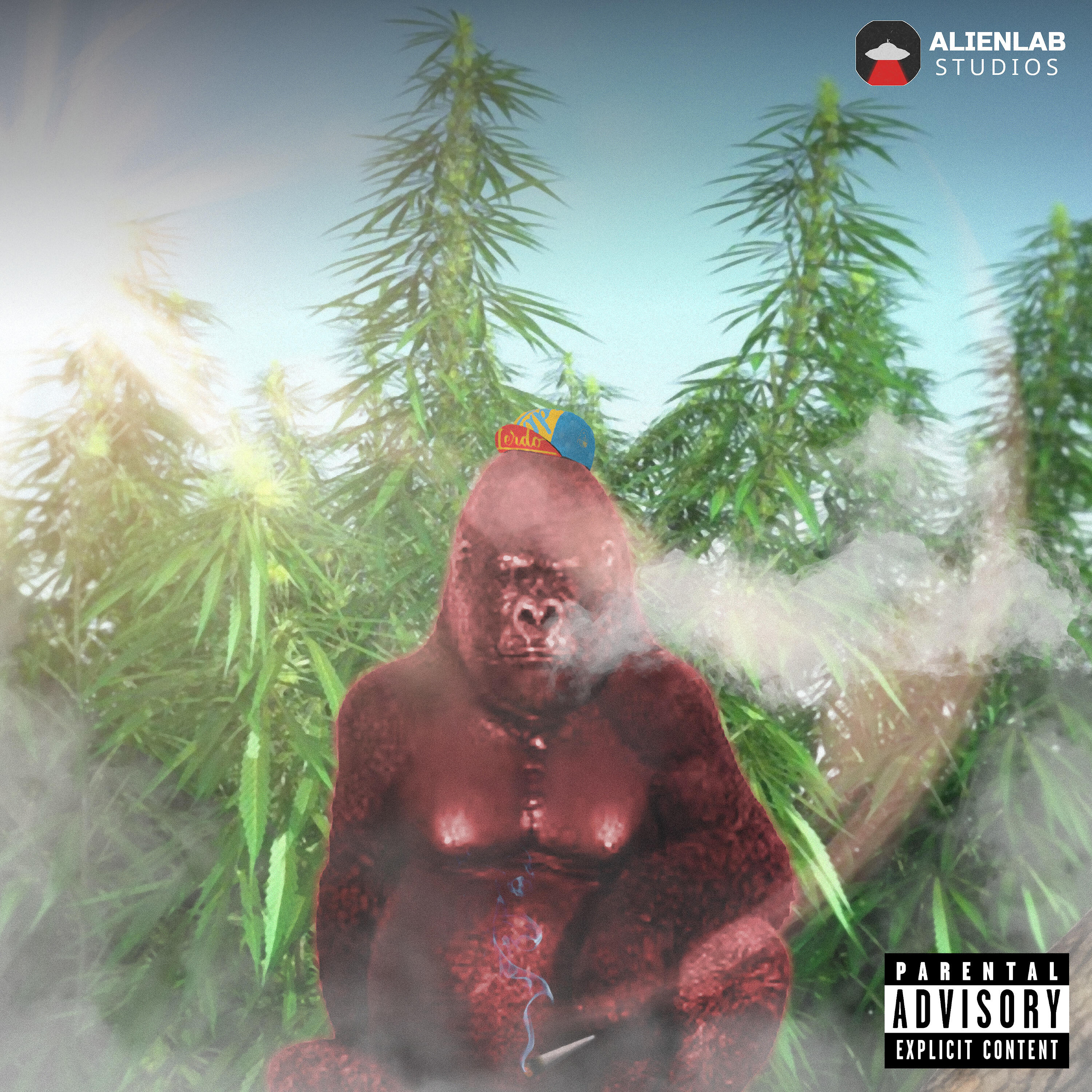 Скачать песню Kongzin, YKZ Jackie Chan, Ohvrv - Mistura de Kong бесплатно в MP3 для Android и iOS