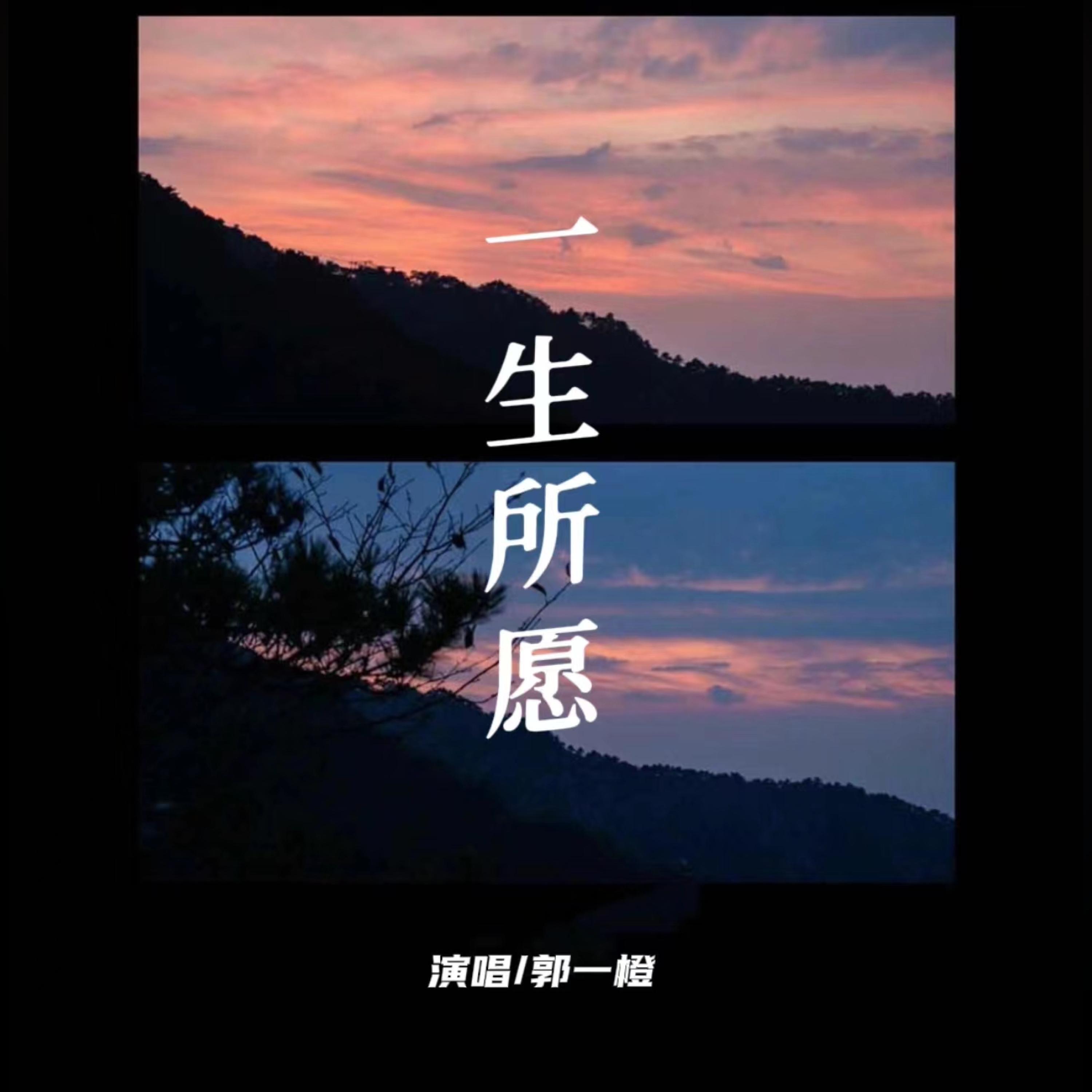 Релиз 一生所愿