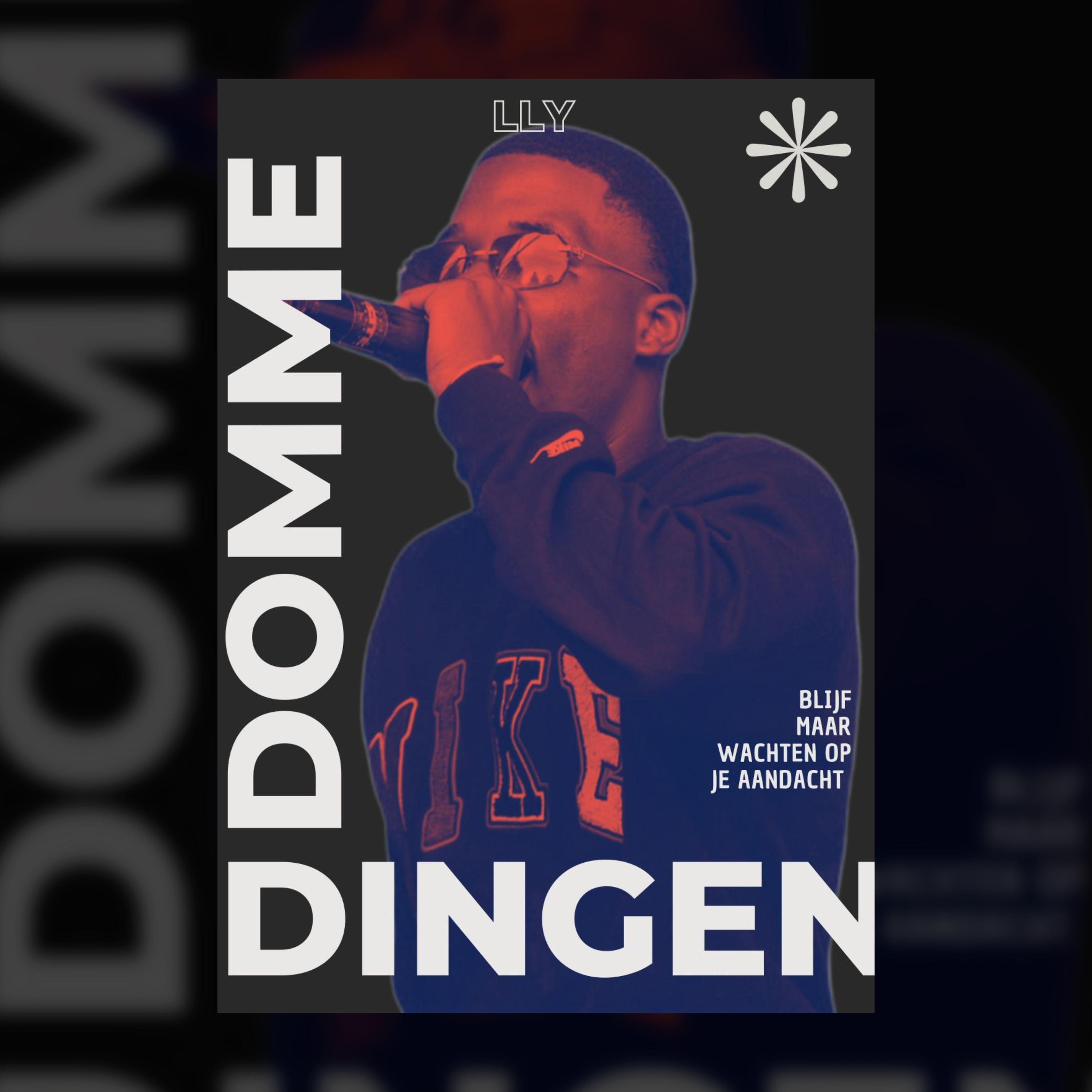 Релиз Domme Dingen