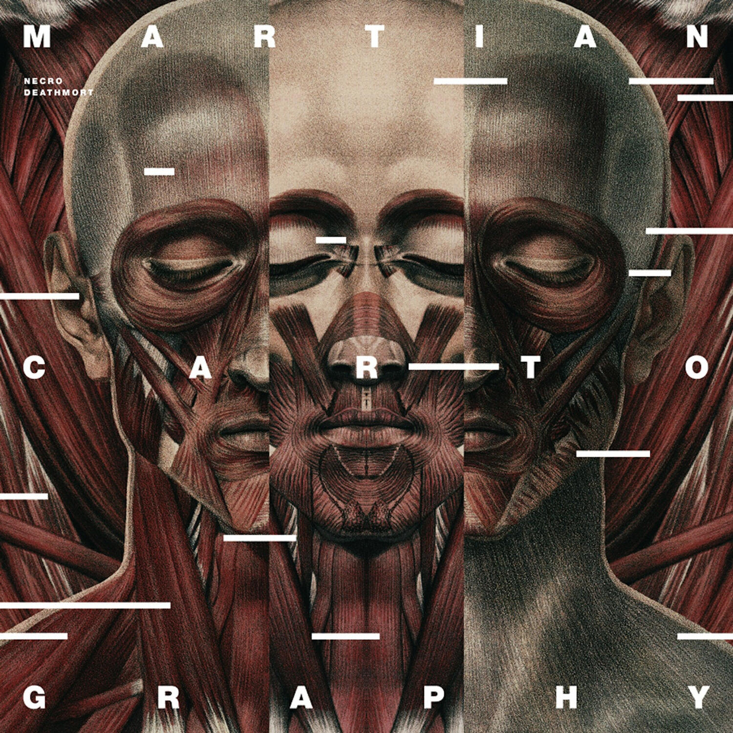 Релиз Martian Cartography