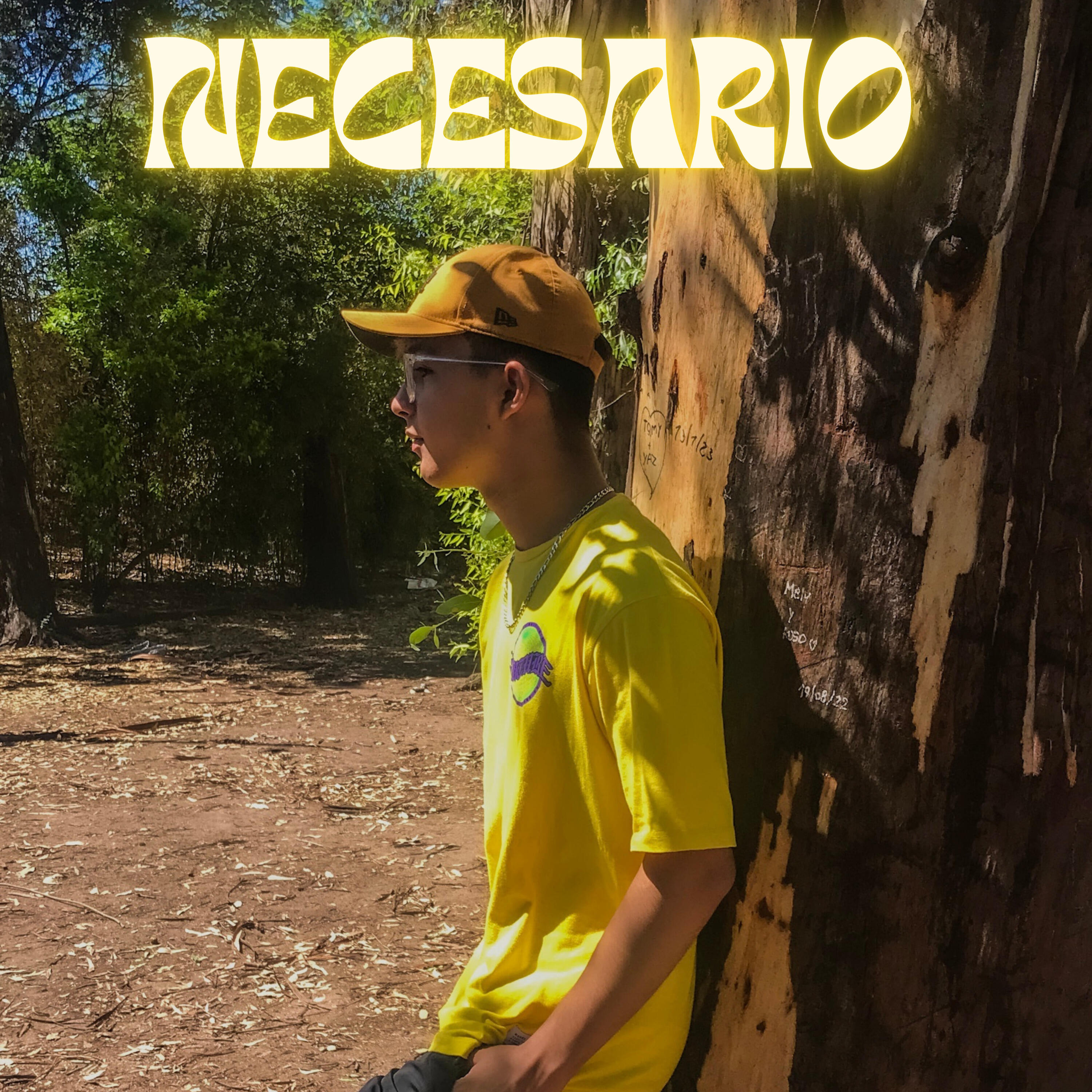 Релиз Necesario